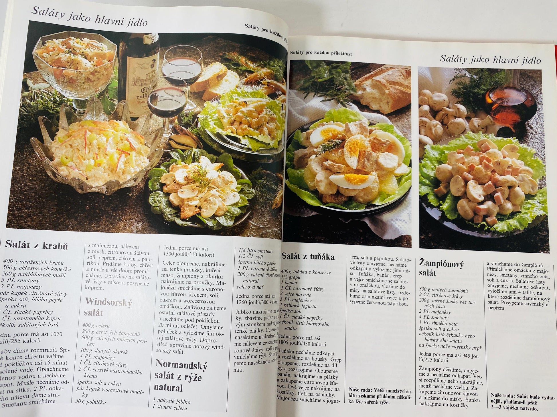Vaříme s potěšením Cooking with Pleasure vintage Czech by Annette Wolterová and Christian Teubner circa 1997 European recipes meat dumplings