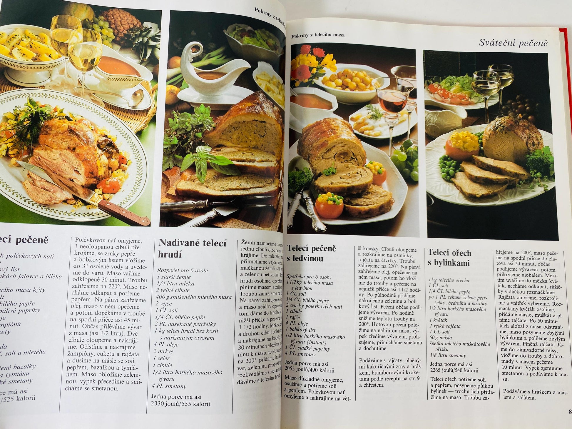 Vaříme s potěšením Cooking with Pleasure vintage Czech by Annette Wolterová and Christian Teubner circa 1997 European recipes meat dumplings