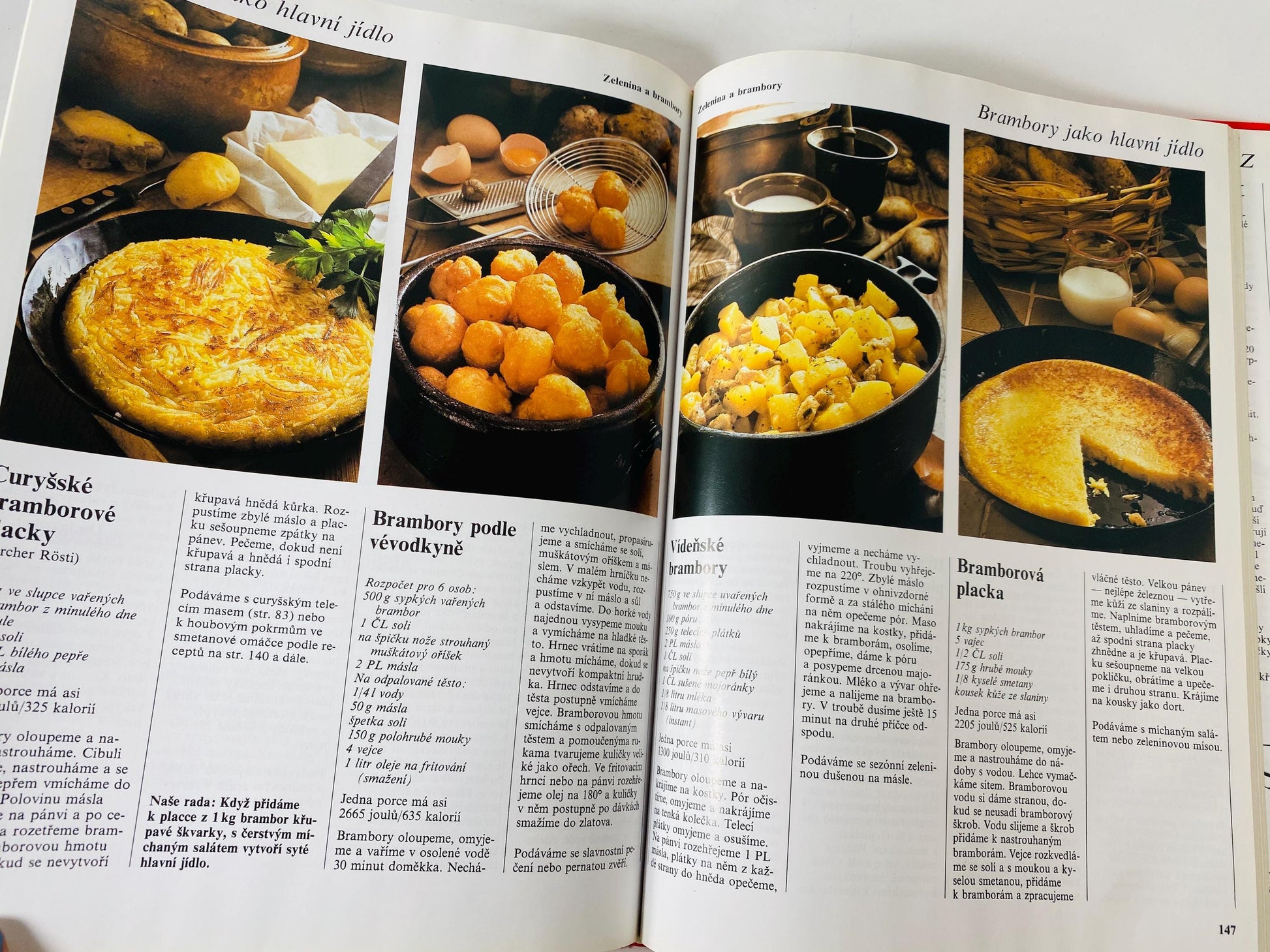 Vaříme s potěšením Cooking with Pleasure vintage Czech by Annette Wolterová and Christian Teubner circa 1997 European recipes meat dumplings