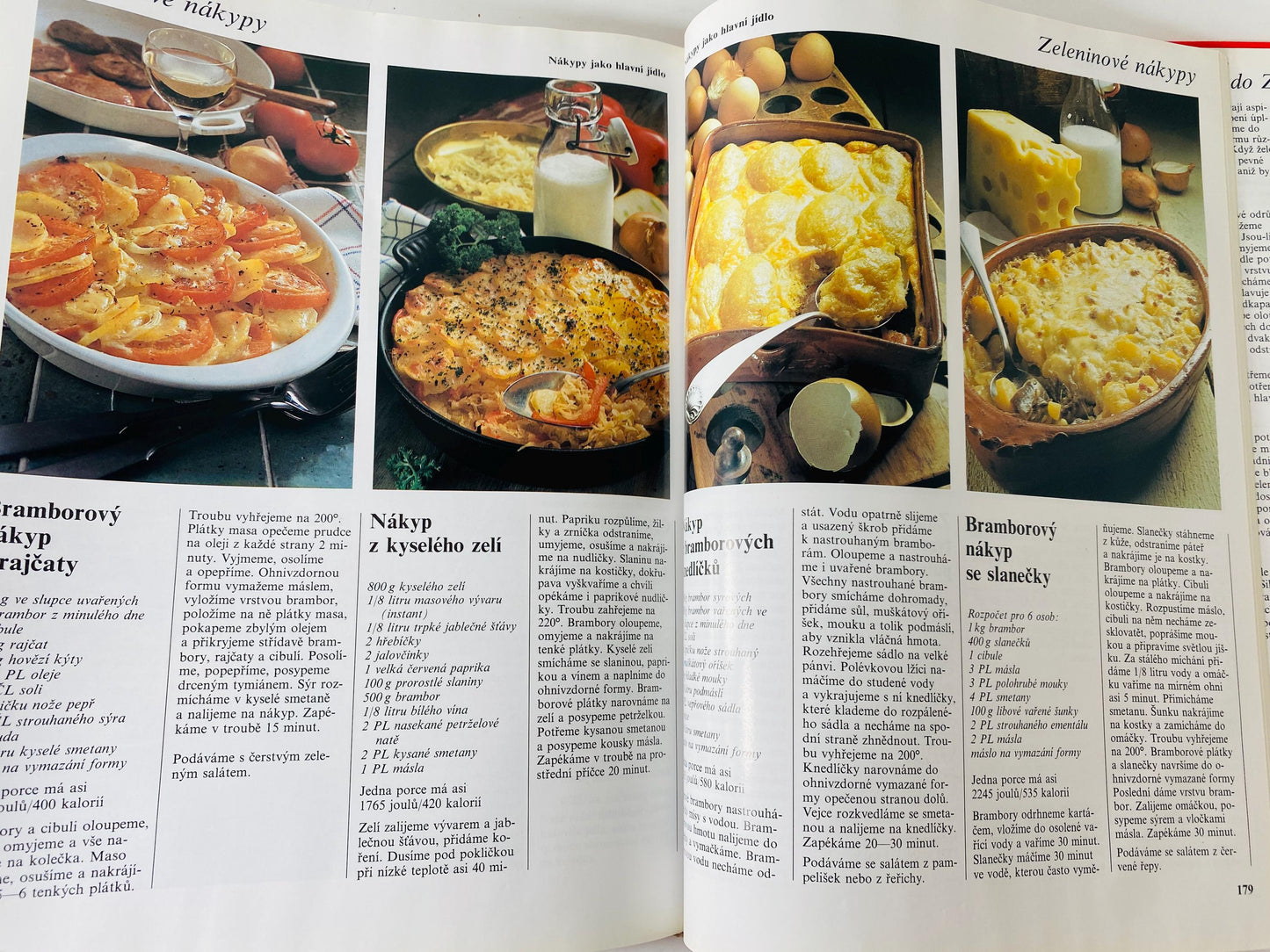 Vaříme s potěšením Cooking with Pleasure vintage Czech by Annette Wolterová and Christian Teubner circa 1997 European recipes meat dumplings