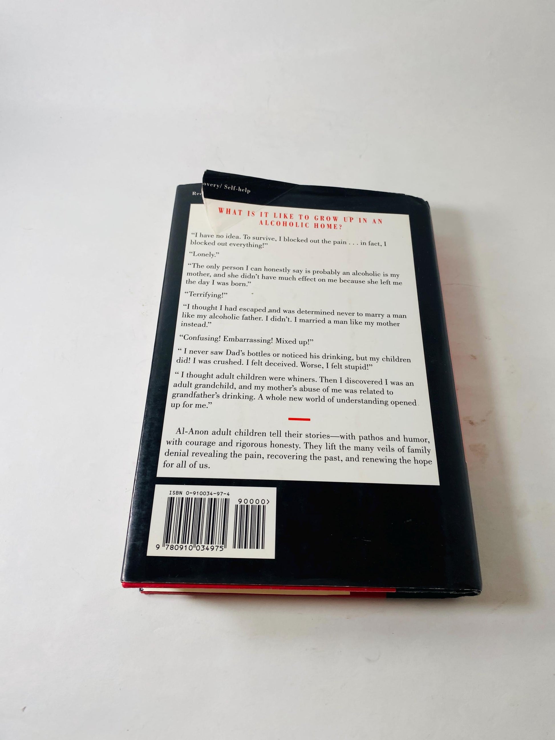 1994 Survival to Recovery vintage book EARLY PRINTING Alcoholics Anonymous Growing up in Alcoholic Home AA sobriety Twelve Steps HelenK