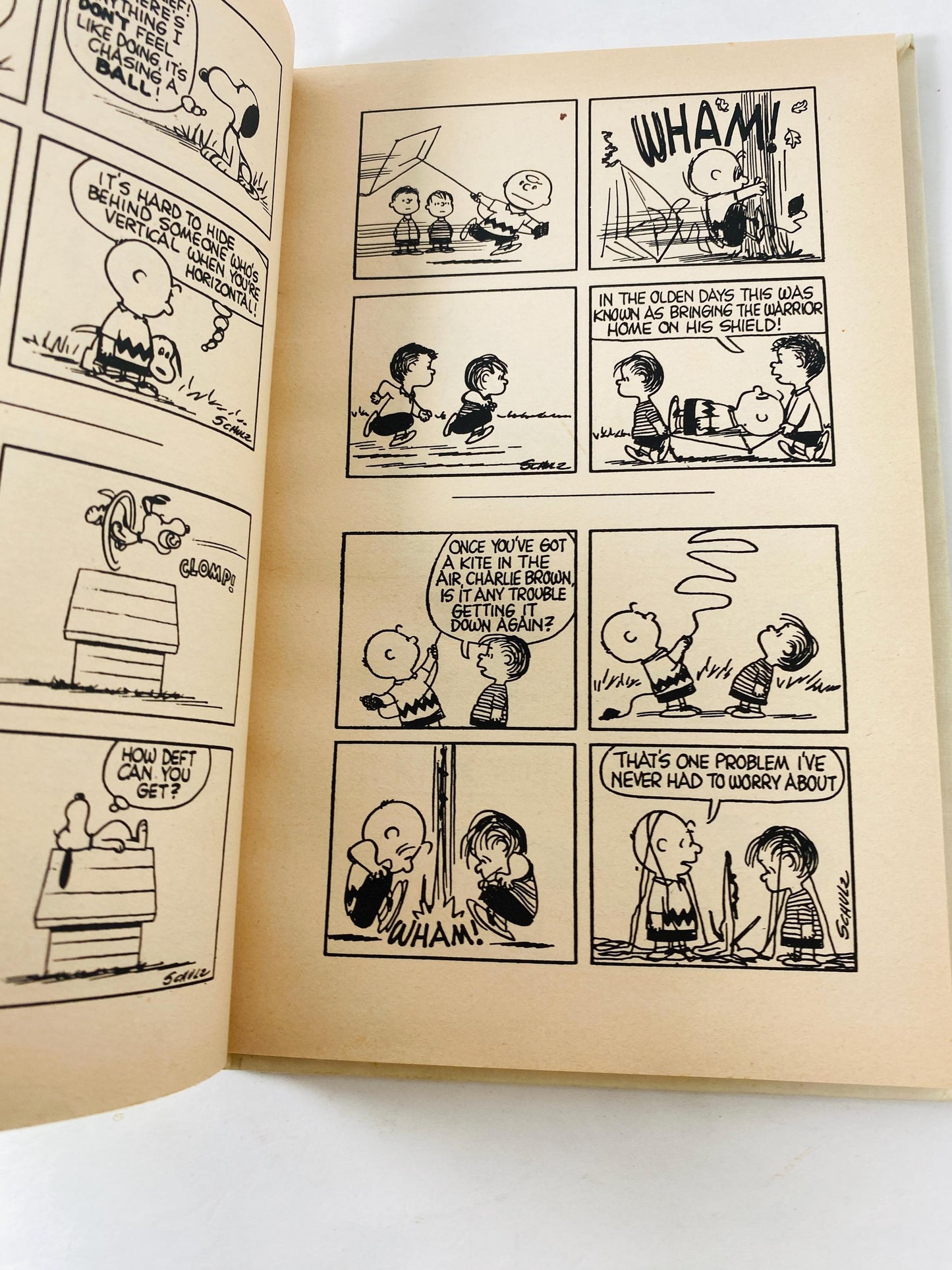 1960 Go Fly a Kite, Charlie Brown. Vintage Weekly Reader book by Charles Schulz Classic Children's Book