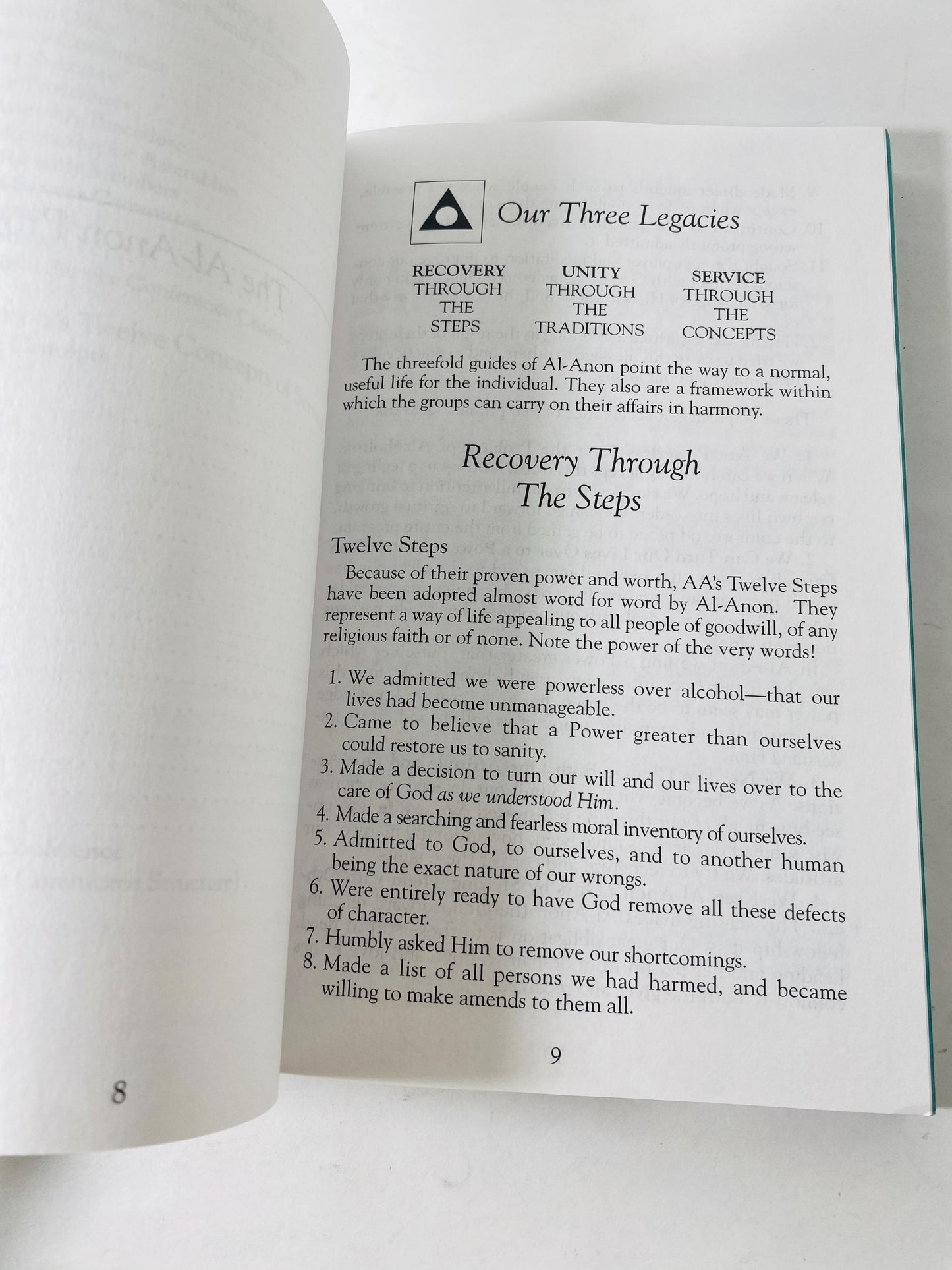 Al-Anon Alateen Service Manual Twelve Steps & Twelve Traditions Vintage Alcoholics Anonymous paperback book Recovery AA sobriety HelenK