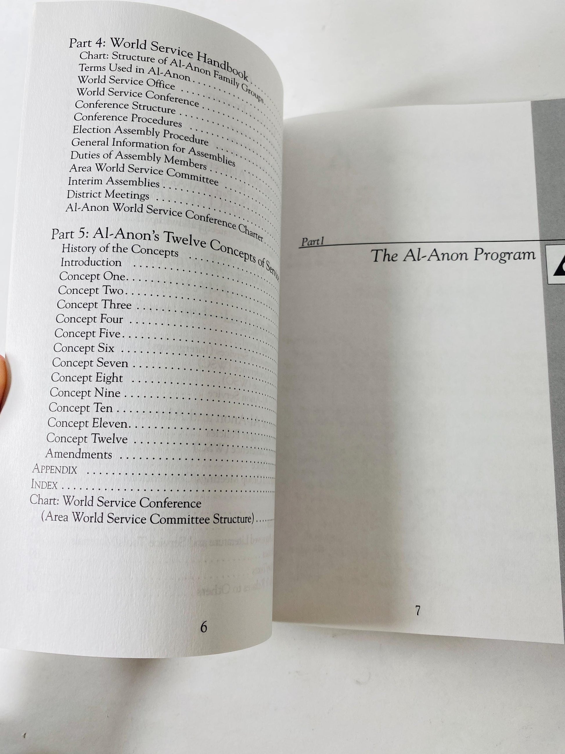Al-Anon Alateen Service Manual Twelve Steps & Twelve Traditions Vintage Alcoholics Anonymous paperback book Recovery AA sobriety HelenK