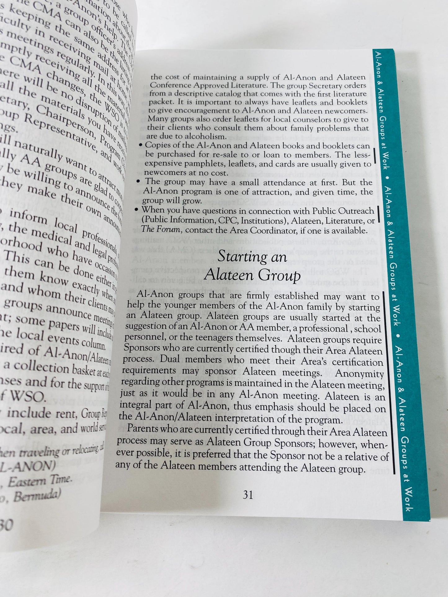 Al-Anon Alateen Service Manual Twelve Steps & Twelve Traditions Vintage Alcoholics Anonymous paperback book Recovery AA sobriety HelenK