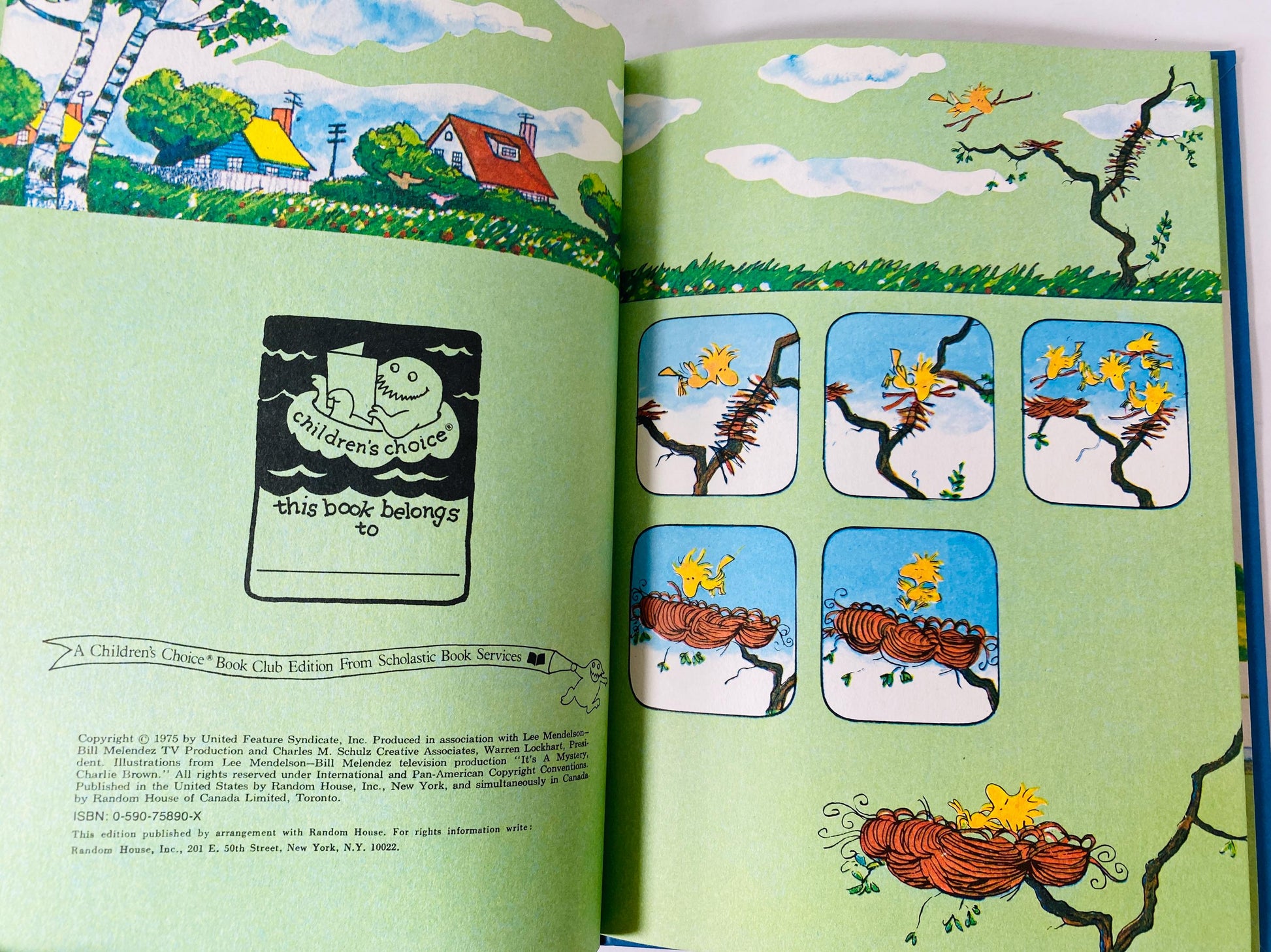 Its a Mystery Charlie Brown vintage Peanuts book by Charles Schulz circa 1975 Children's Book gift