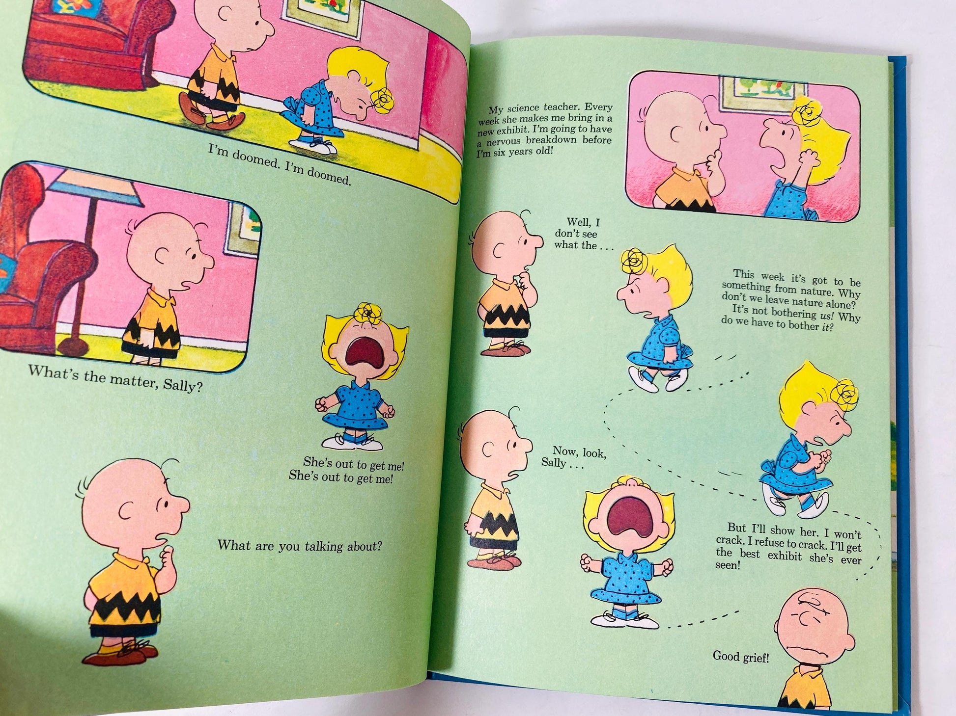 Its a Mystery Charlie Brown vintage Peanuts book by Charles Schulz circa 1975 Children's Book gift