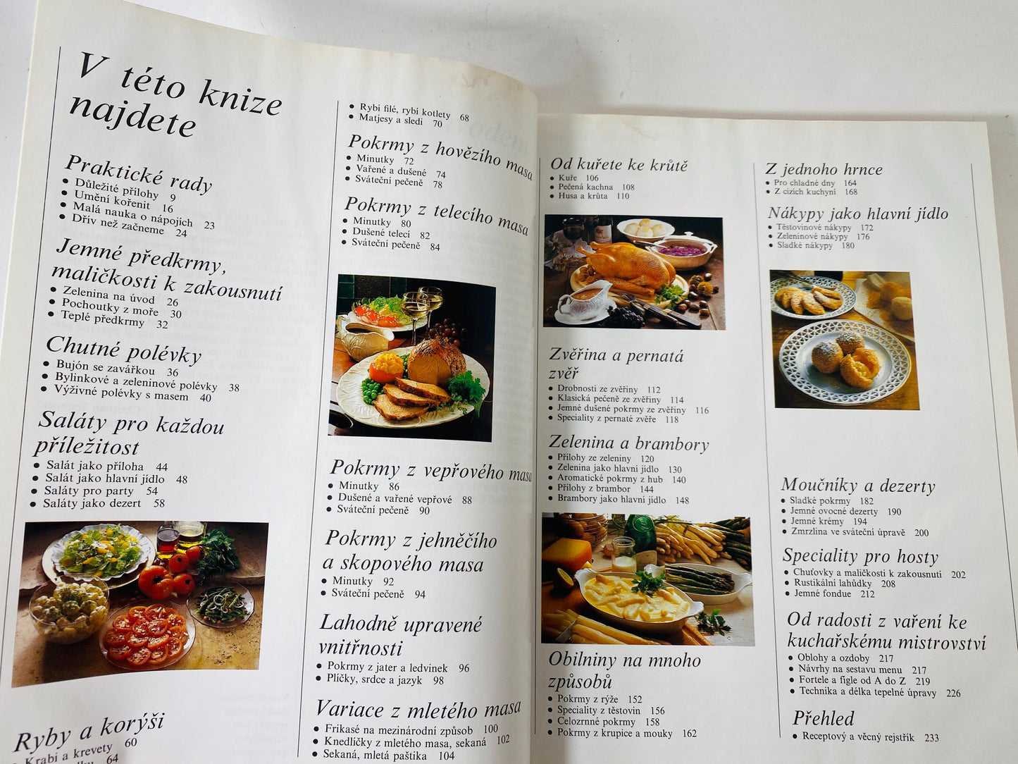 Vaříme s potěšením Cooking with Pleasure vintage Czech by Annette Wolterová and Christian Teubner circa 1997 European recipes meat dumplings