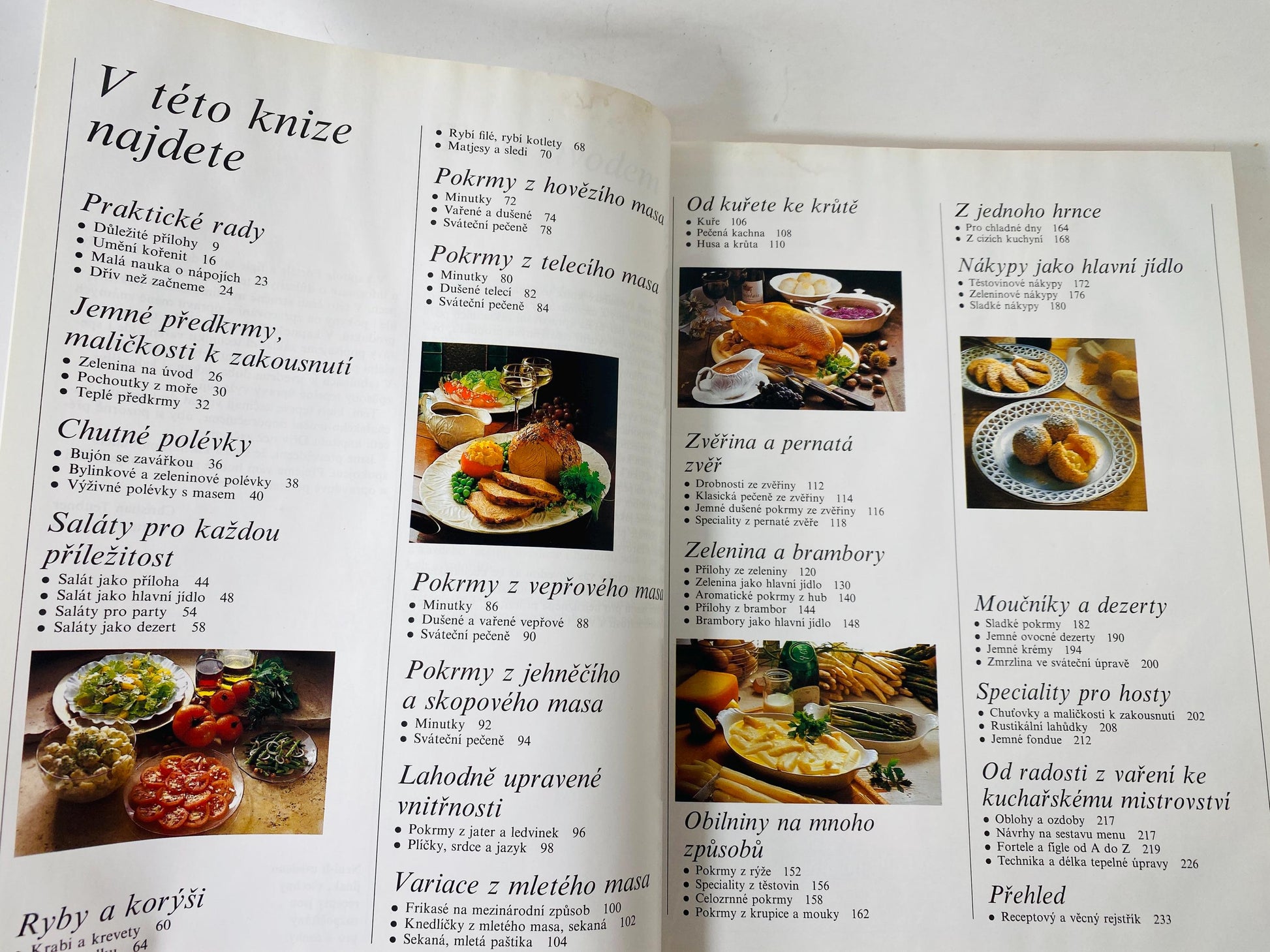 Vaříme s potěšením Cooking with Pleasure vintage Czech by Annette Wolterová and Christian Teubner circa 1997 European recipes meat dumplings