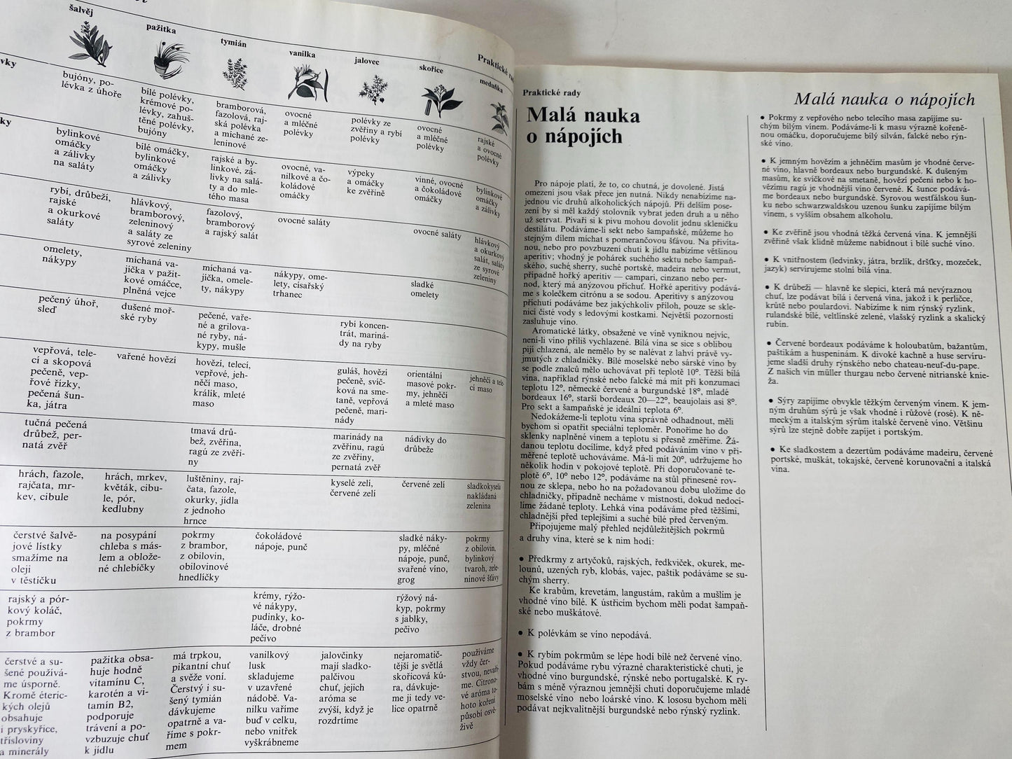 Vaříme s potěšením Cooking with Pleasure vintage Czech by Annette Wolterová and Christian Teubner circa 1997 European recipes meat dumplings