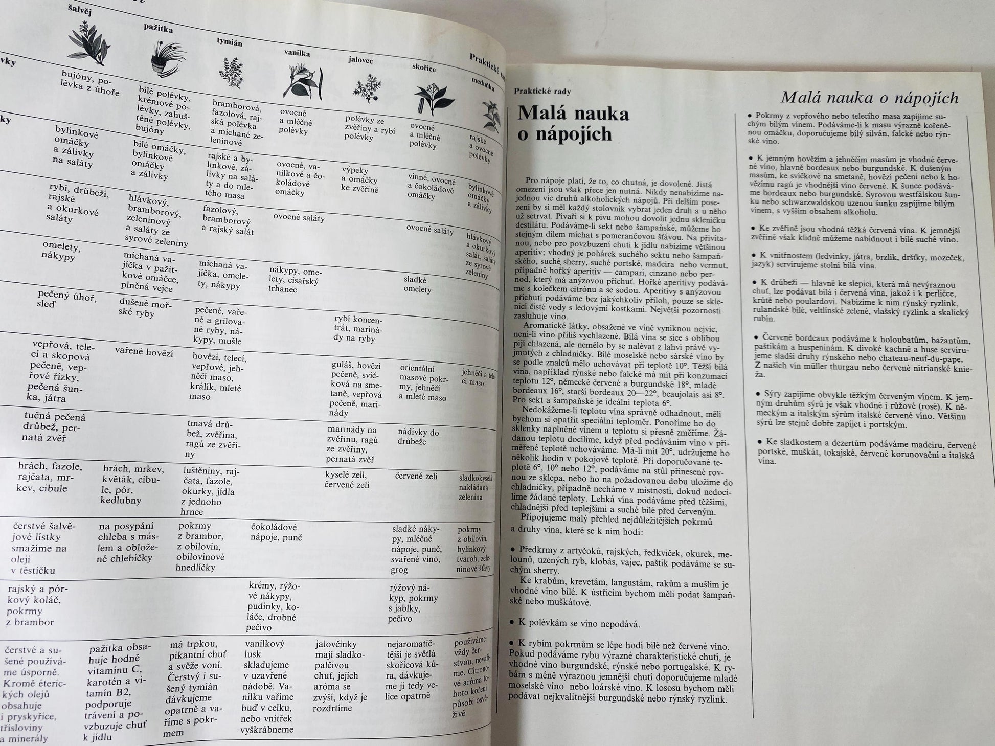 Vaříme s potěšením Cooking with Pleasure vintage Czech by Annette Wolterová and Christian Teubner circa 1997 European recipes meat dumplings