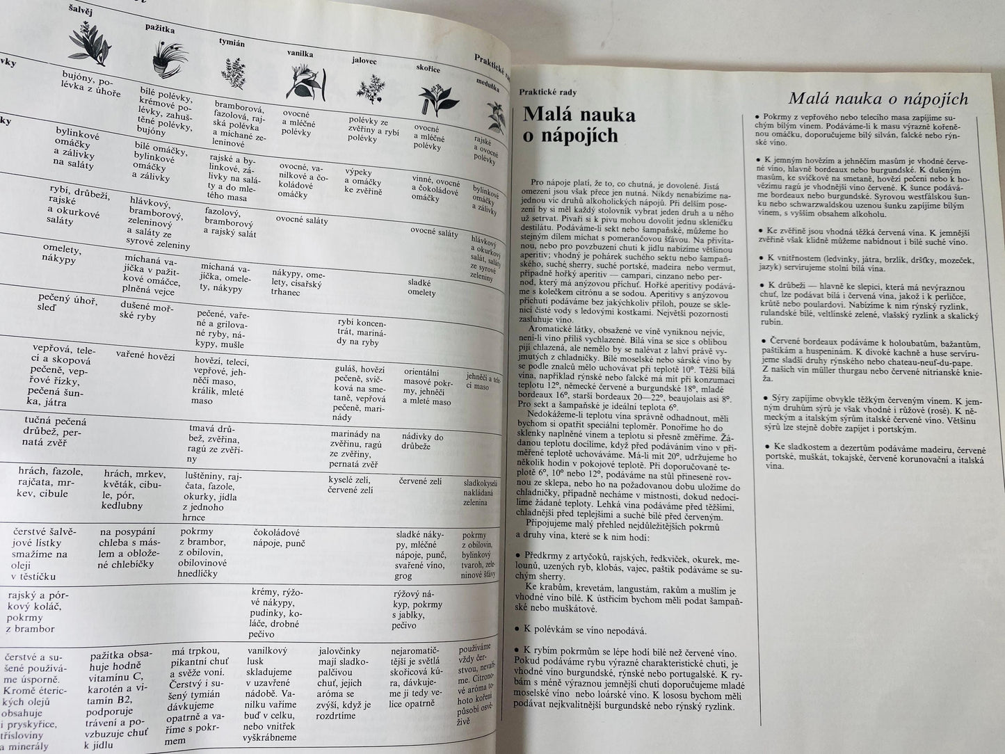 Vaříme s potěšením Cooking with Pleasure vintage Czech by Annette Wolterová and Christian Teubner circa 1997 European recipes meat dumplings