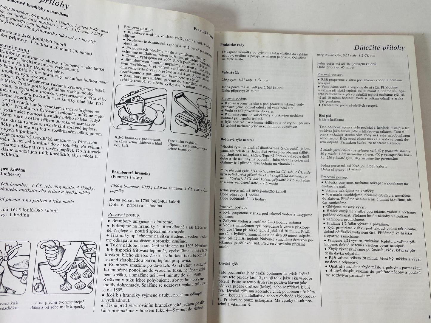 Vaříme s potěšením Cooking with Pleasure vintage Czech by Annette Wolterová and Christian Teubner circa 1997 European recipes meat dumplings
