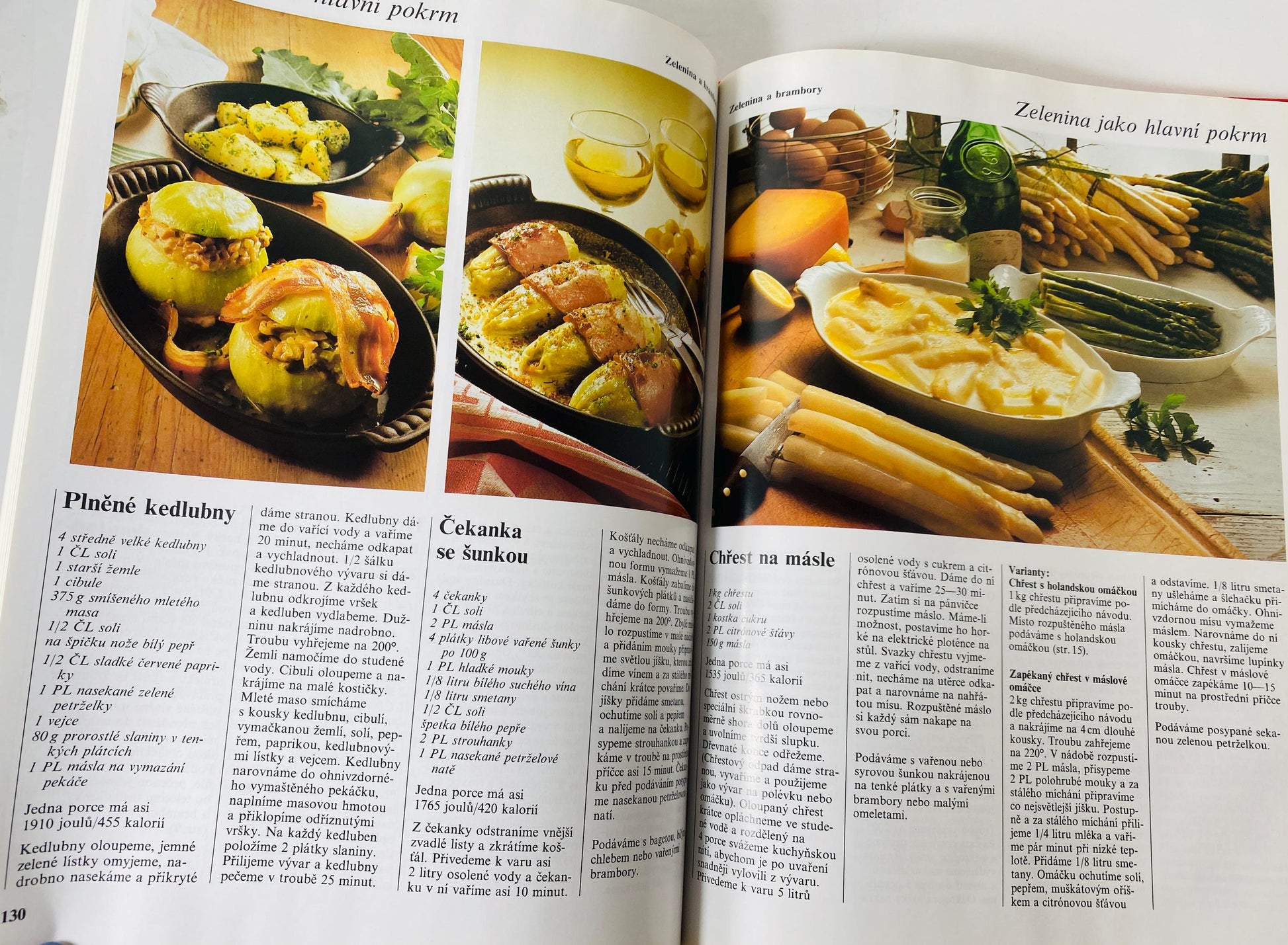 Vaříme s potěšením Cooking with Pleasure vintage Czech by Annette Wolterová and Christian Teubner circa 1997 European recipes meat dumplings