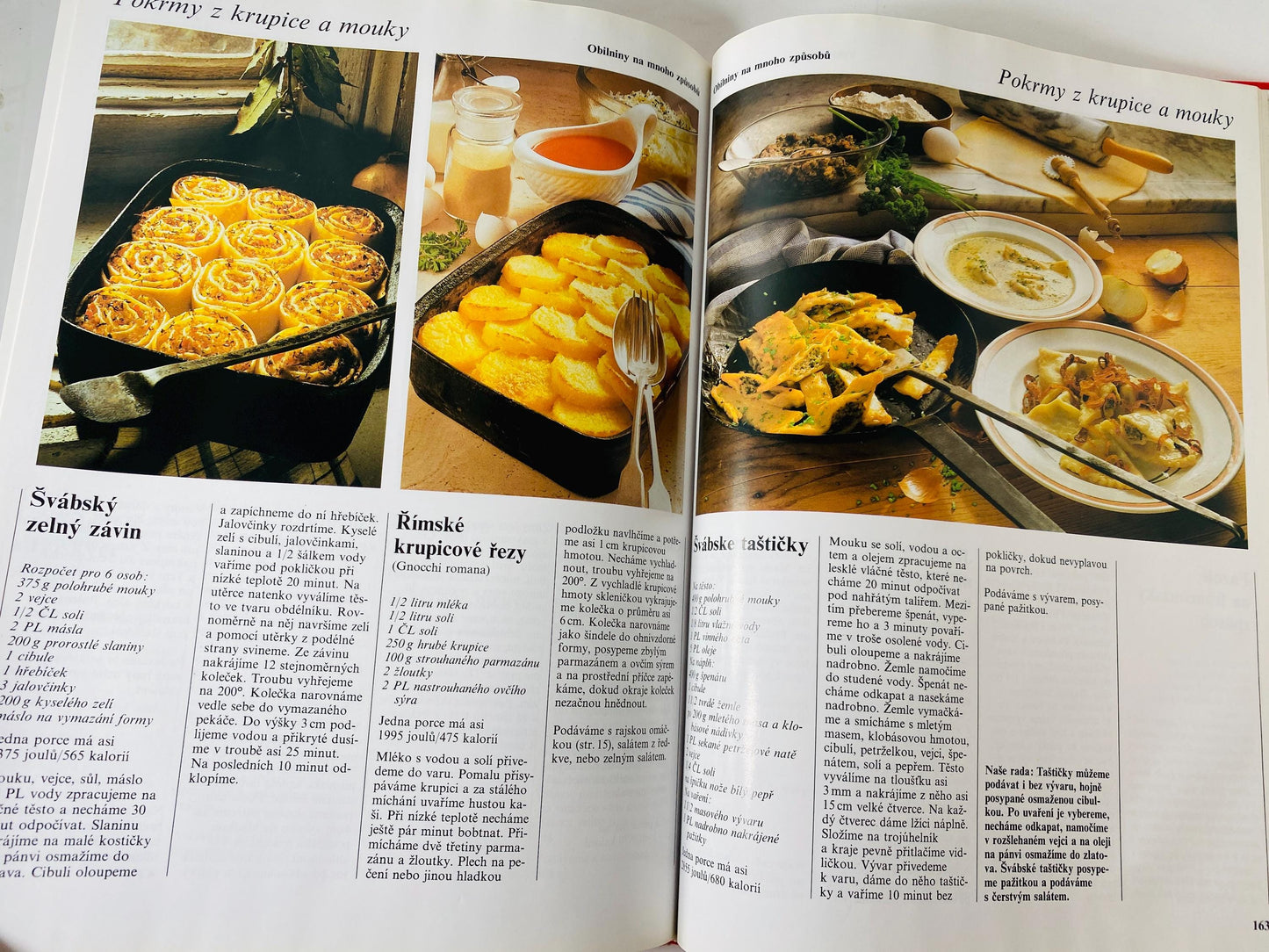 Vaříme s potěšením Cooking with Pleasure vintage Czech by Annette Wolterová and Christian Teubner circa 1997 European recipes meat dumplings