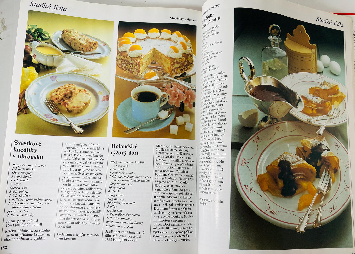 Vaříme s potěšením Cooking with Pleasure vintage Czech by Annette Wolterová and Christian Teubner circa 1997 European recipes meat dumplings