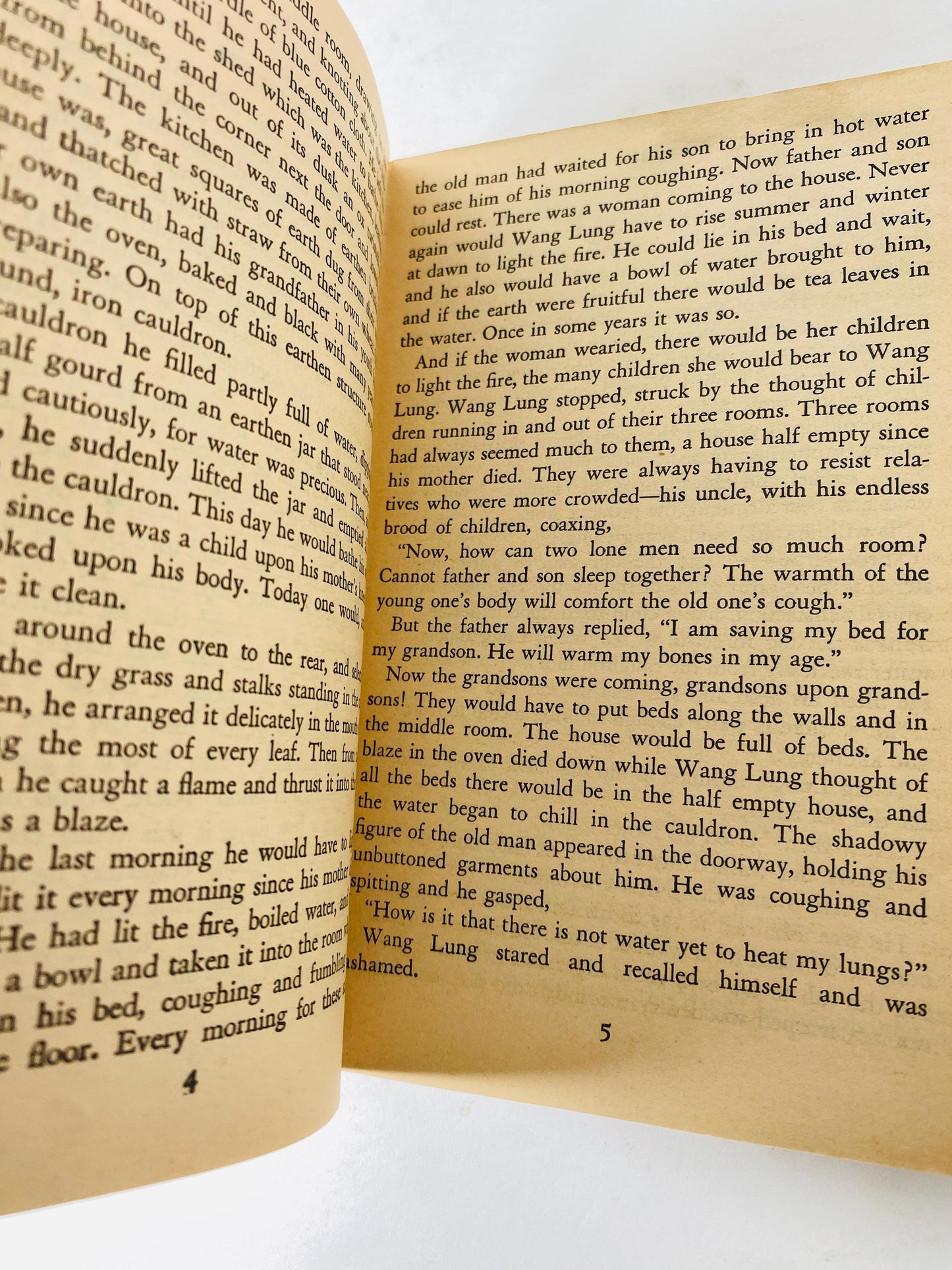 1965 Good Earth by Pearl S Buck Vintage paperback book Pulitzer Prize-winning story of hardship in rural China and deep connection to land