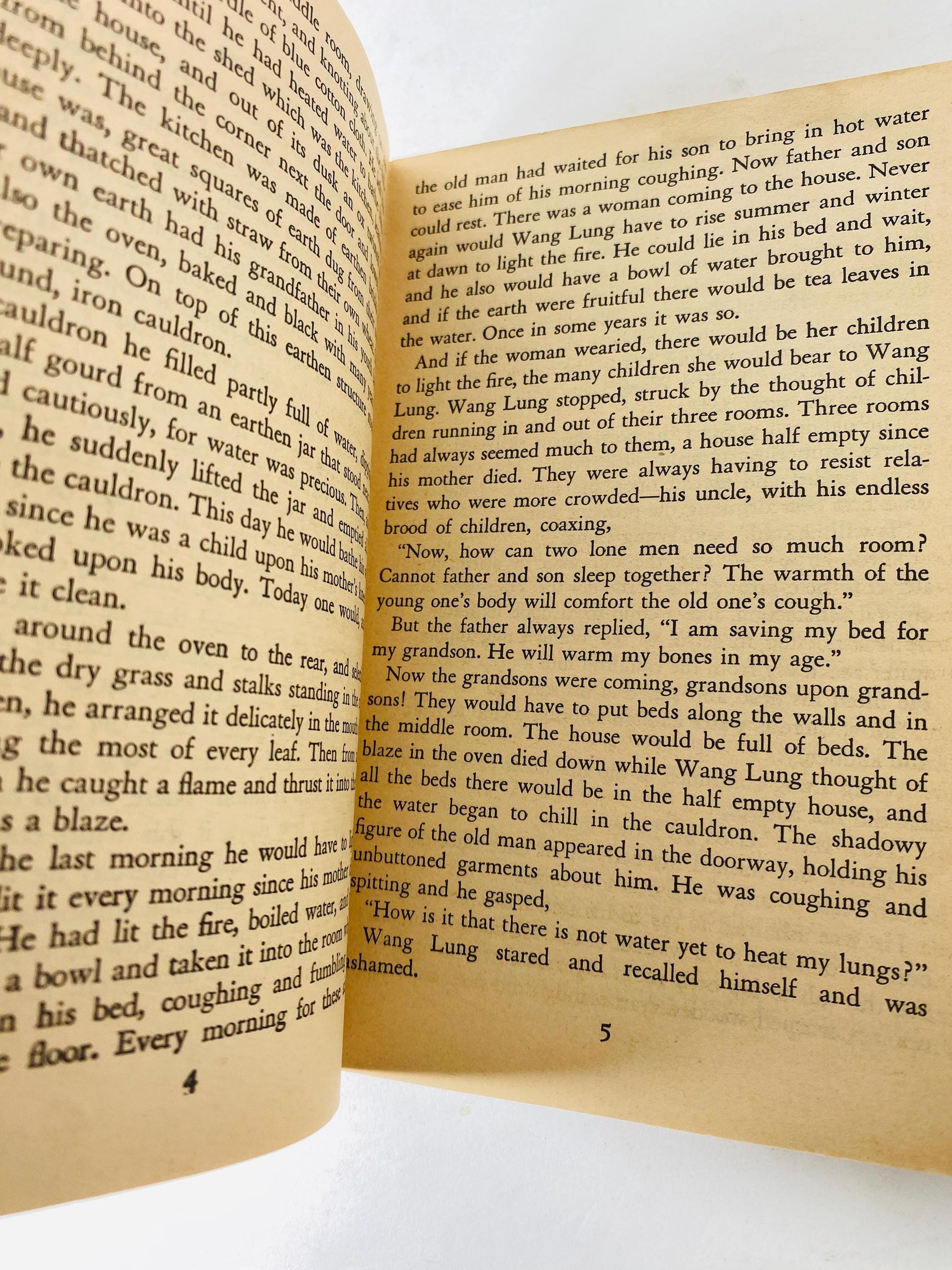 1965 Good Earth by Pearl S Buck Vintage paperback book Pulitzer Prize-winning story of hardship in rural China and deep connection to land