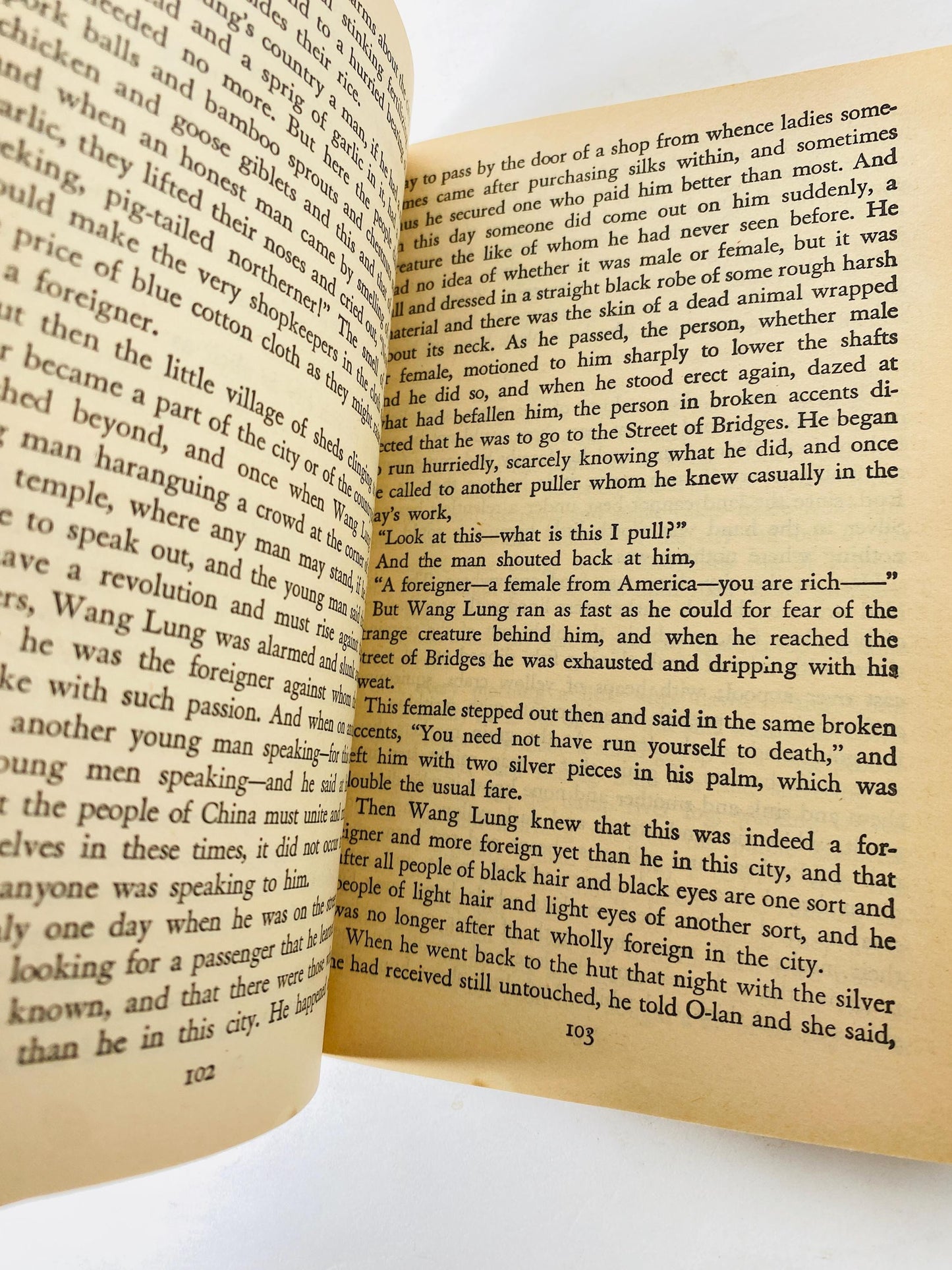 1965 Good Earth by Pearl S Buck Vintage paperback book Pulitzer Prize-winning story of hardship in rural China and deep connection to land