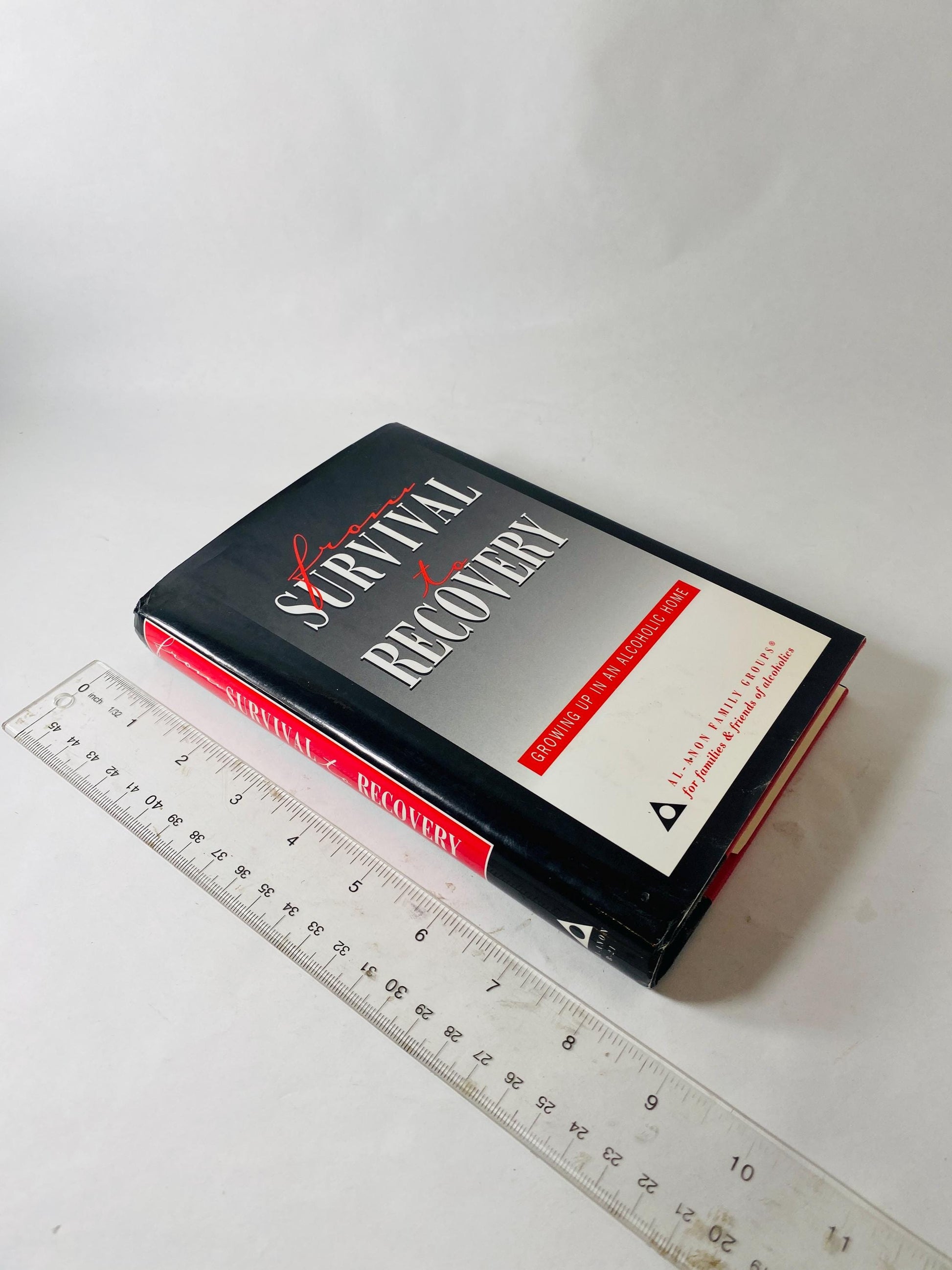 1994 Survival to Recovery vintage book EARLY PRINTING Alcoholics Anonymous Growing up in Alcoholic Home AA sobriety Twelve Steps HelenK