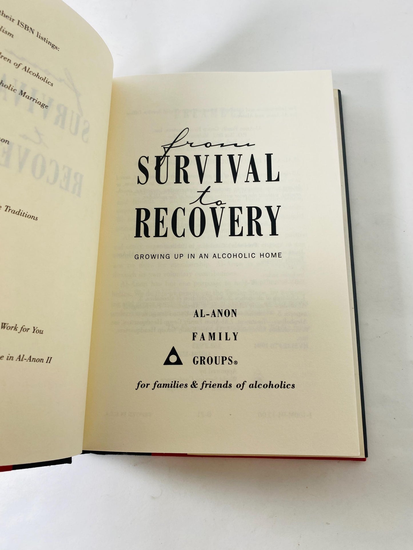 1994 Survival to Recovery vintage book EARLY PRINTING Alcoholics Anonymous Growing up in Alcoholic Home AA sobriety Twelve Steps HelenK
