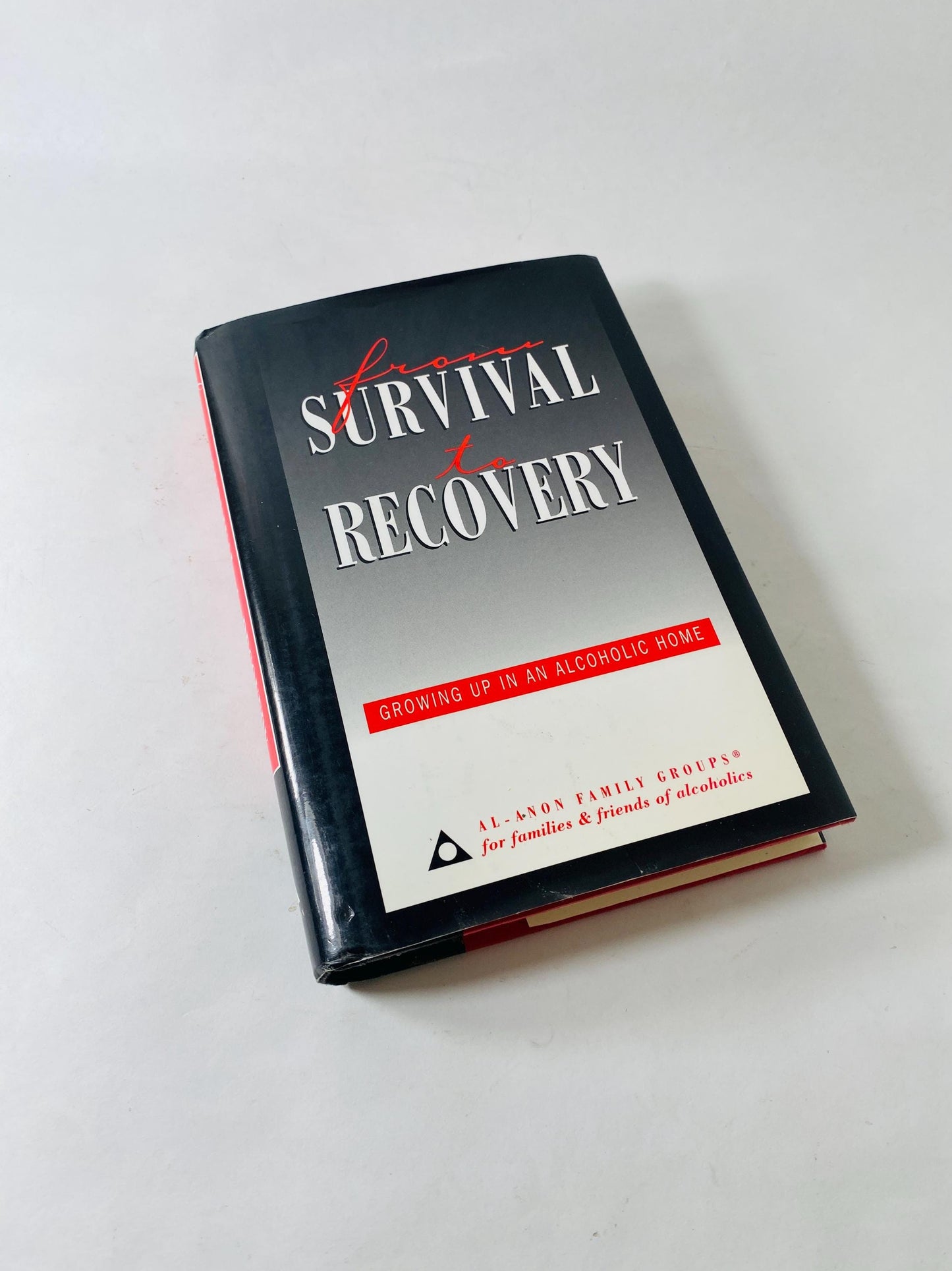 1994 Survival to Recovery vintage book EARLY PRINTING Alcoholics Anonymous Growing up in Alcoholic Home AA sobriety Twelve Steps HelenK