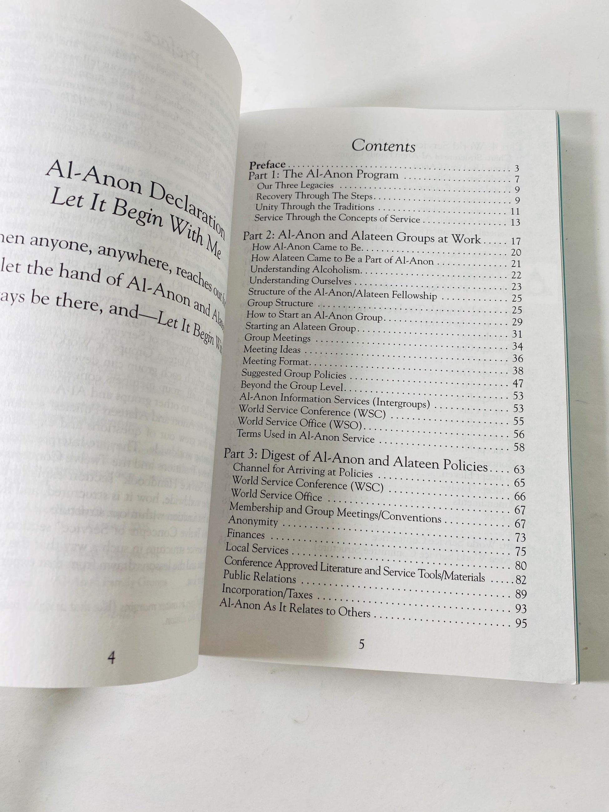 Al-Anon Alateen Service Manual Twelve Steps & Twelve Traditions Vintage Alcoholics Anonymous paperback book Recovery AA sobriety HelenK