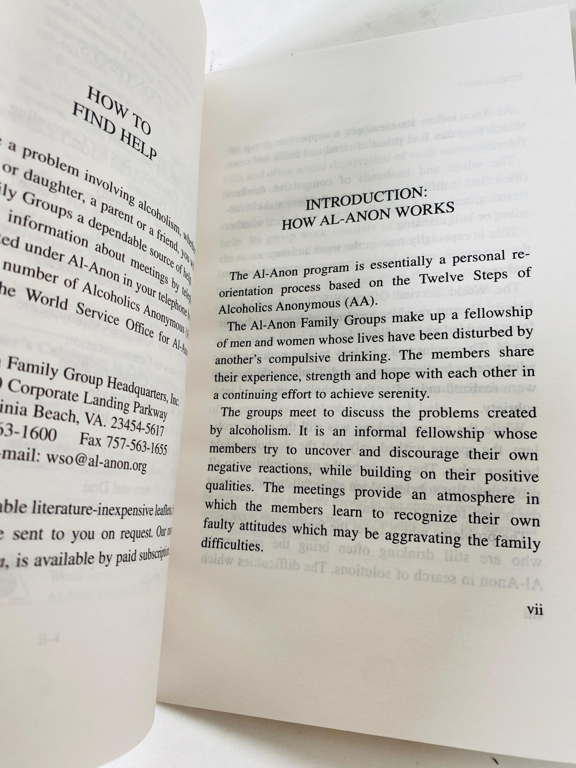 Dilemma of the Alcoholic Marriage Alcoholics Anonymous vintage paperback book circa 1992 of AA Recovery, Addiction HelenK