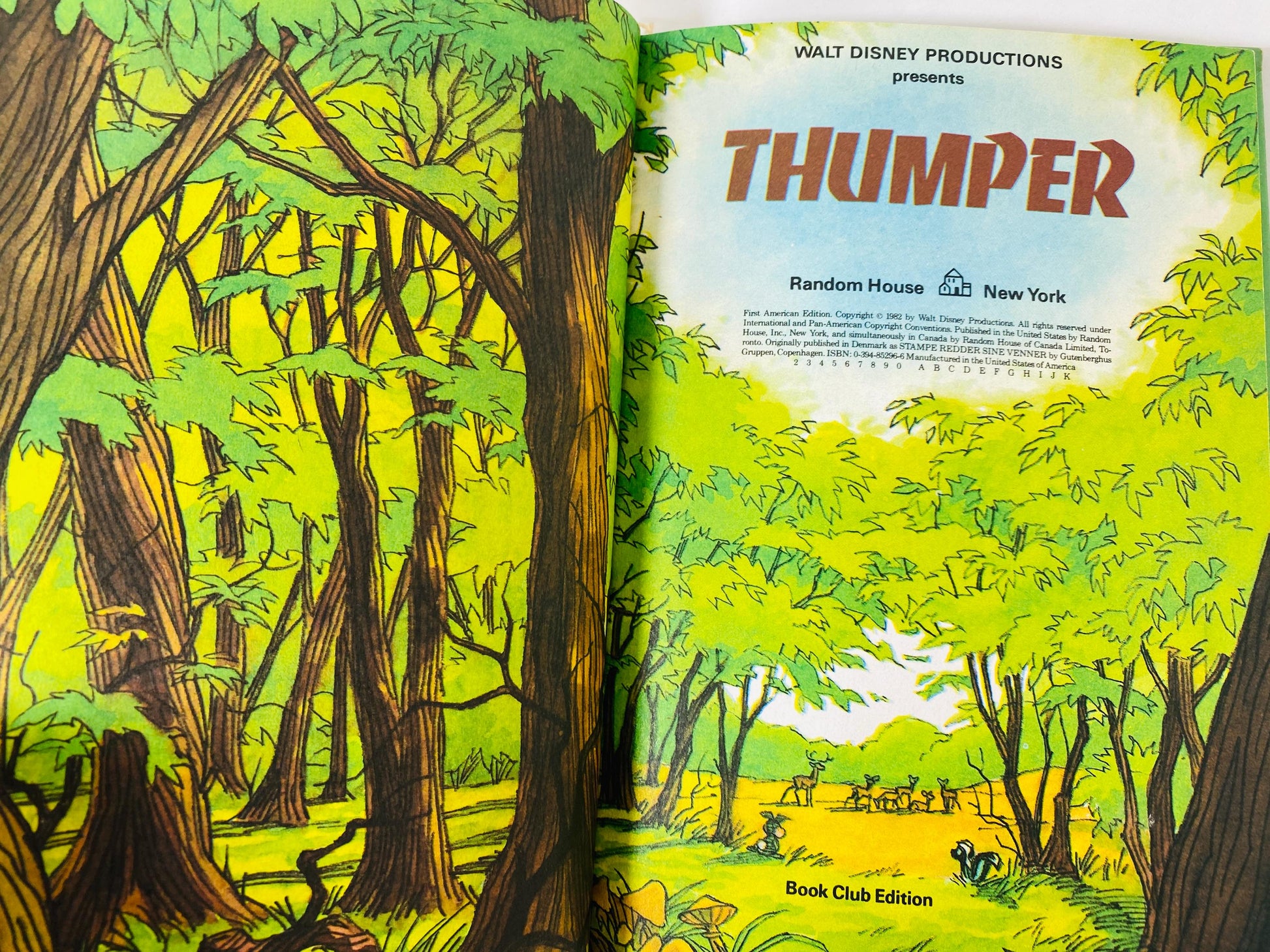 Thumper book Walt Disney vintage book about the bunny from Bambi Children's fiction circa 1982
