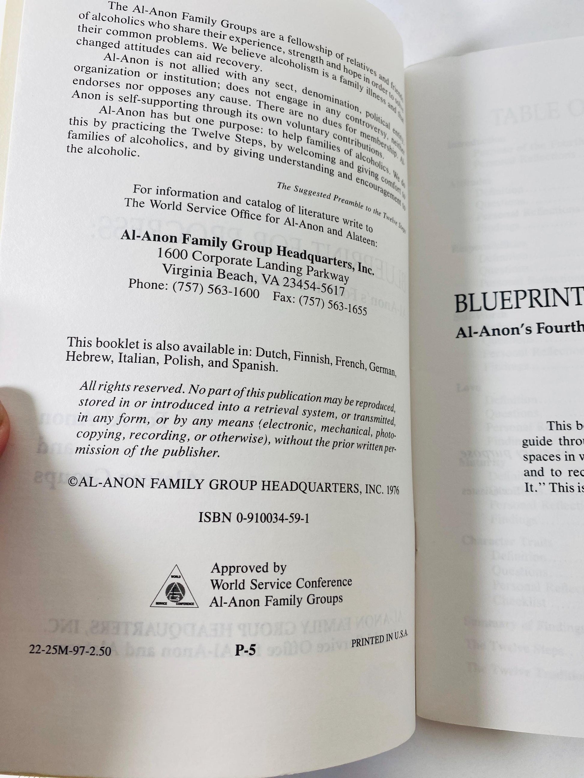 Blueprint for Progress Alcoholics Anonymous vintage paperback book history of AA Recovery, Addiction, NA, Al-Anon, sobriety, gift HelenK