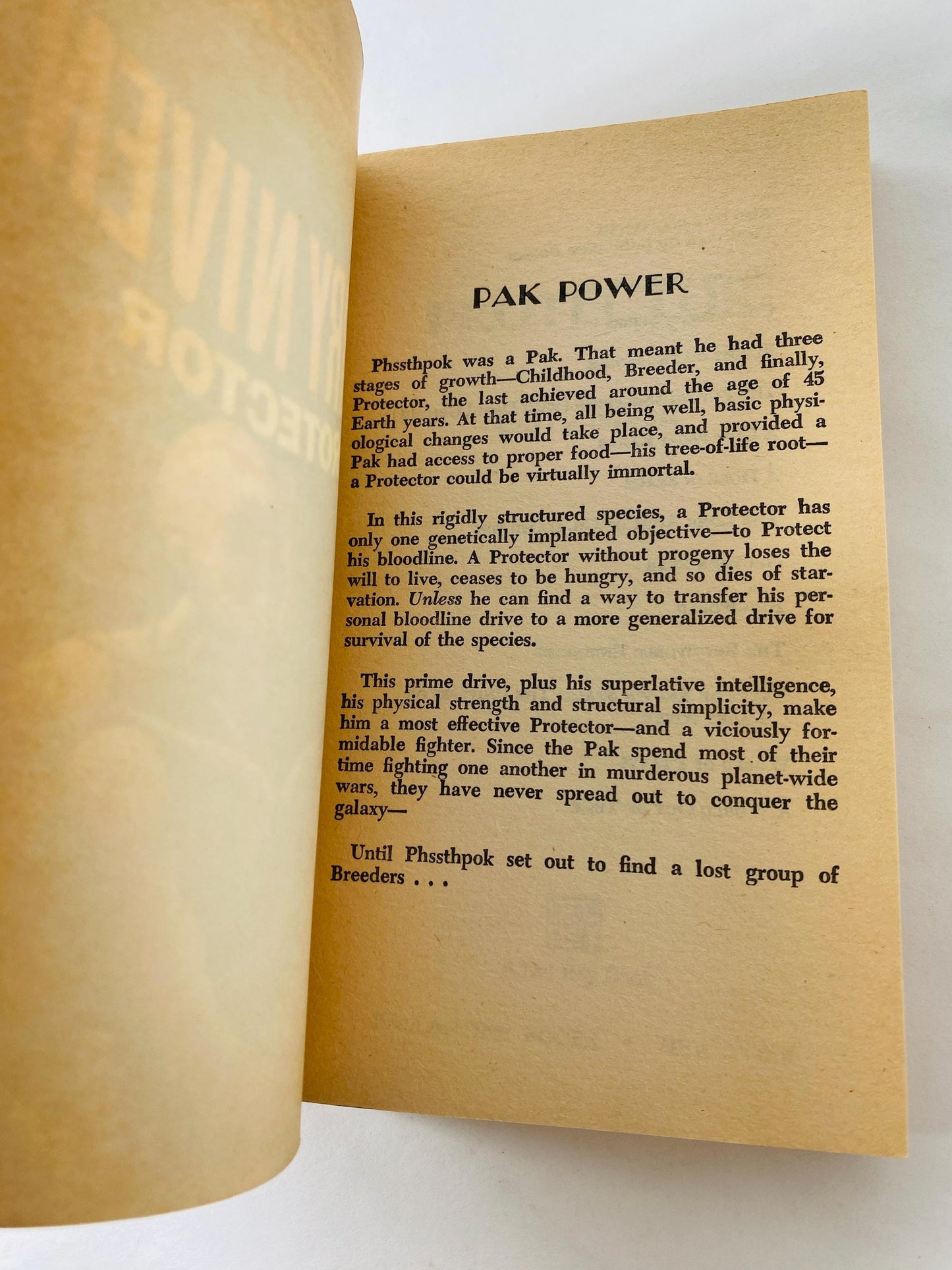 Protector vintage paperback book by Larry Niven circa 1981 about space warefare and saga of Brennan the Belter and Phssthpok the Pak scifi