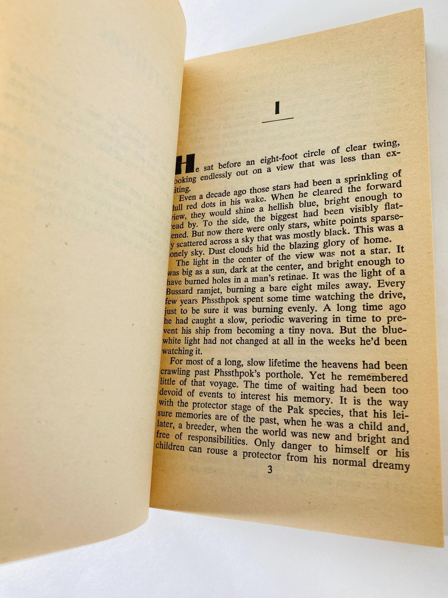 Protector vintage paperback book by Larry Niven circa 1981 about space warefare and saga of Brennan the Belter and Phssthpok the Pak scifi