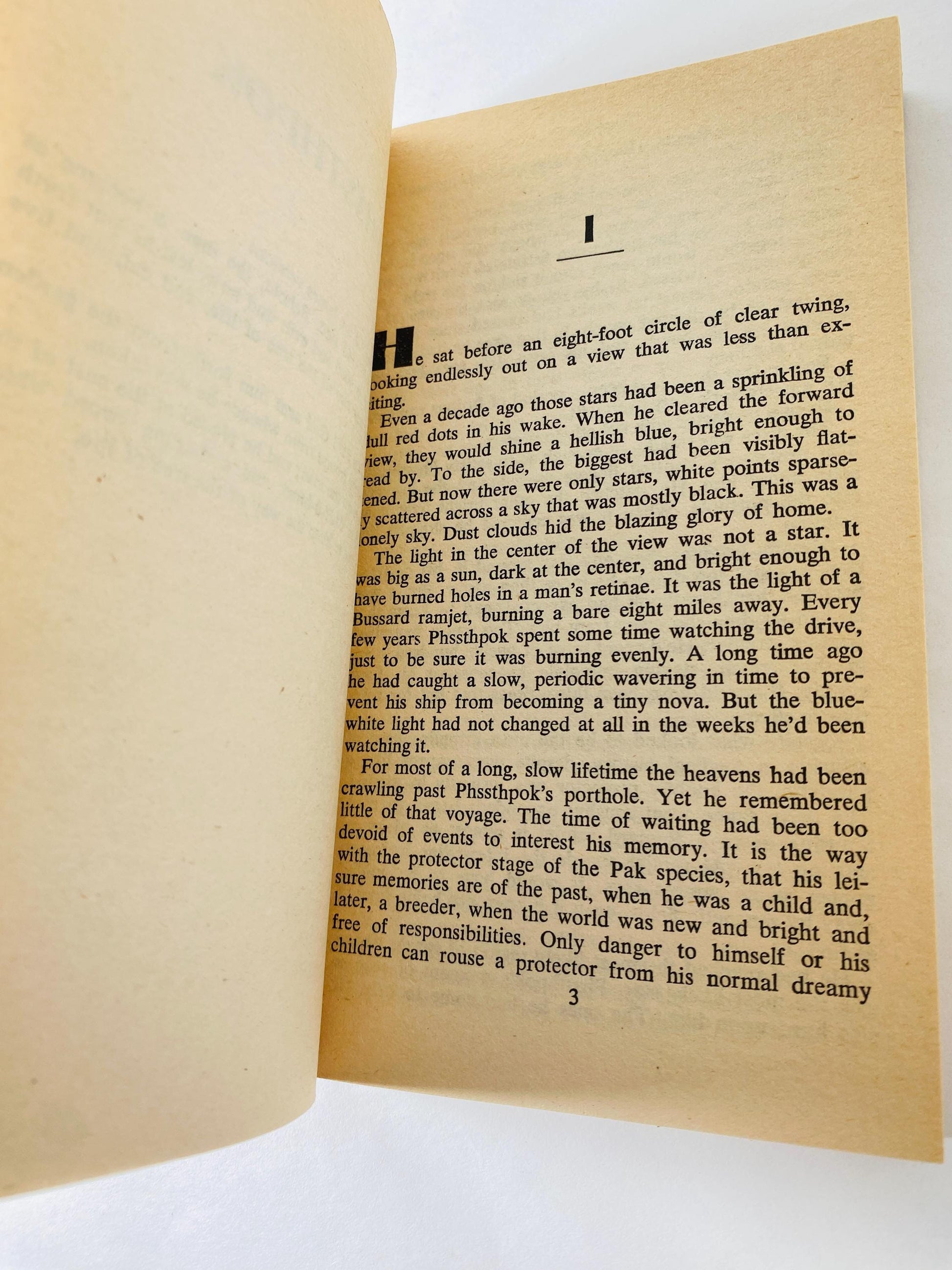 Protector vintage paperback book by Larry Niven circa 1981 about space warefare and saga of Brennan the Belter and Phssthpok the Pak scifi