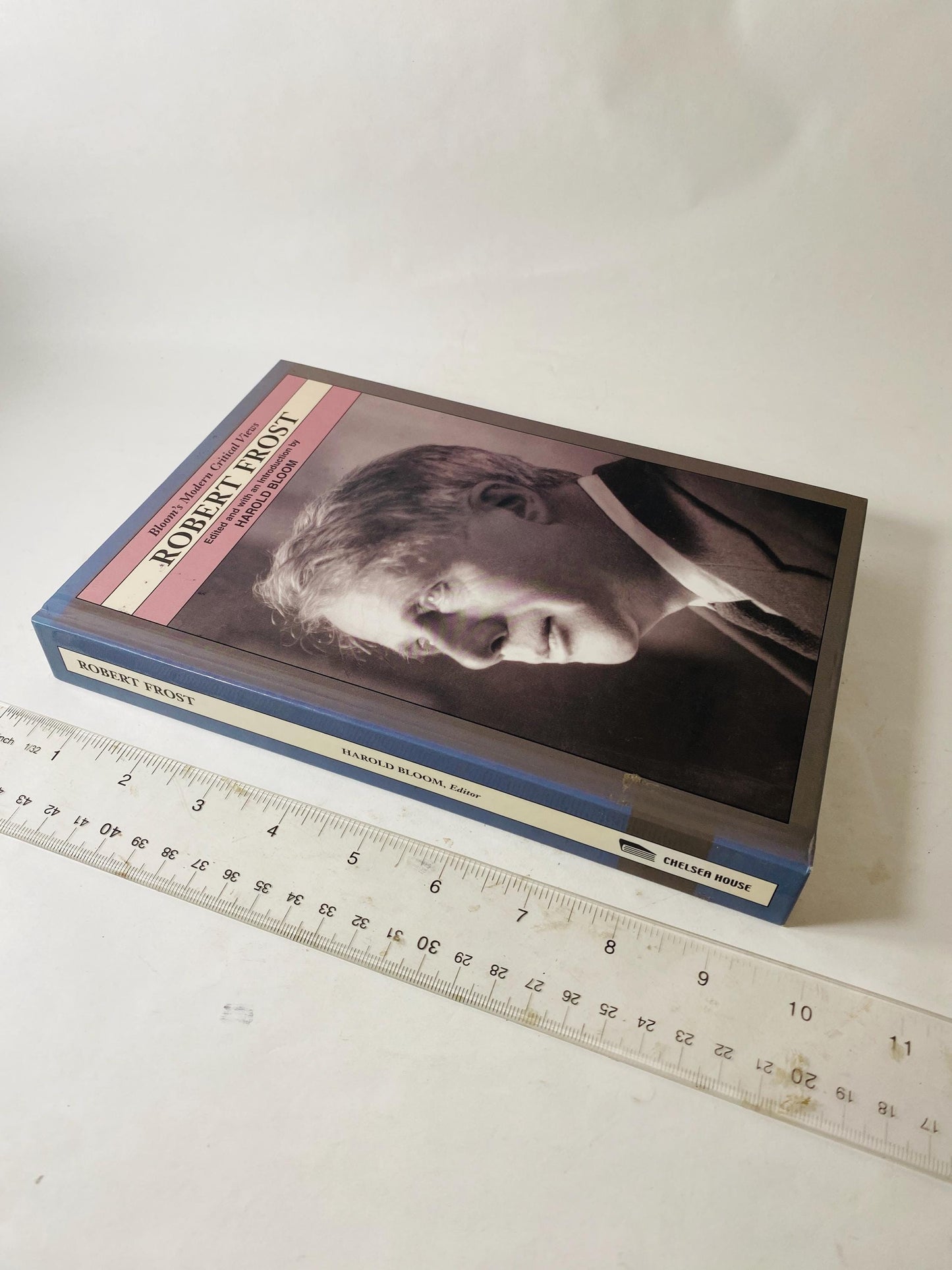 Robert Frost vintage book Bloom’s Modern Critical Views Harold Bloom circa 2003 Literary Criticism Poetry Study Book