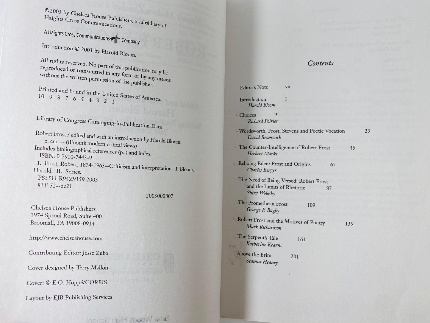 Robert Frost vintage book Bloom’s Modern Critical Views Harold Bloom circa 2003 Literary Criticism Poetry Study Book
