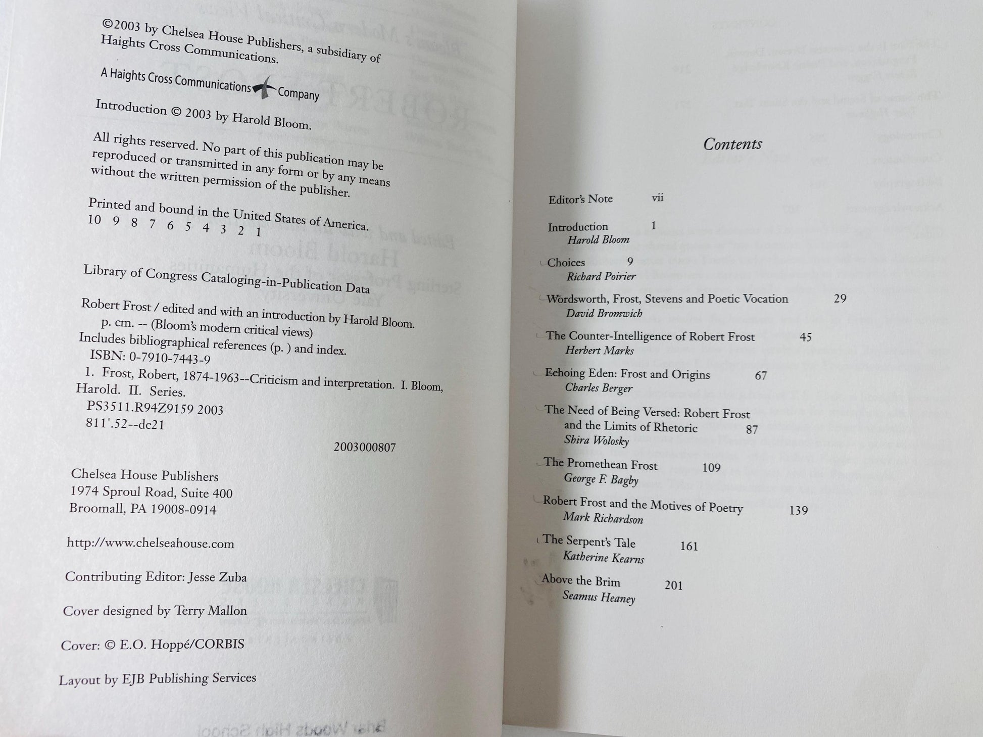 Robert Frost vintage book Bloom’s Modern Critical Views Harold Bloom circa 2003 Literary Criticism Poetry Study Book