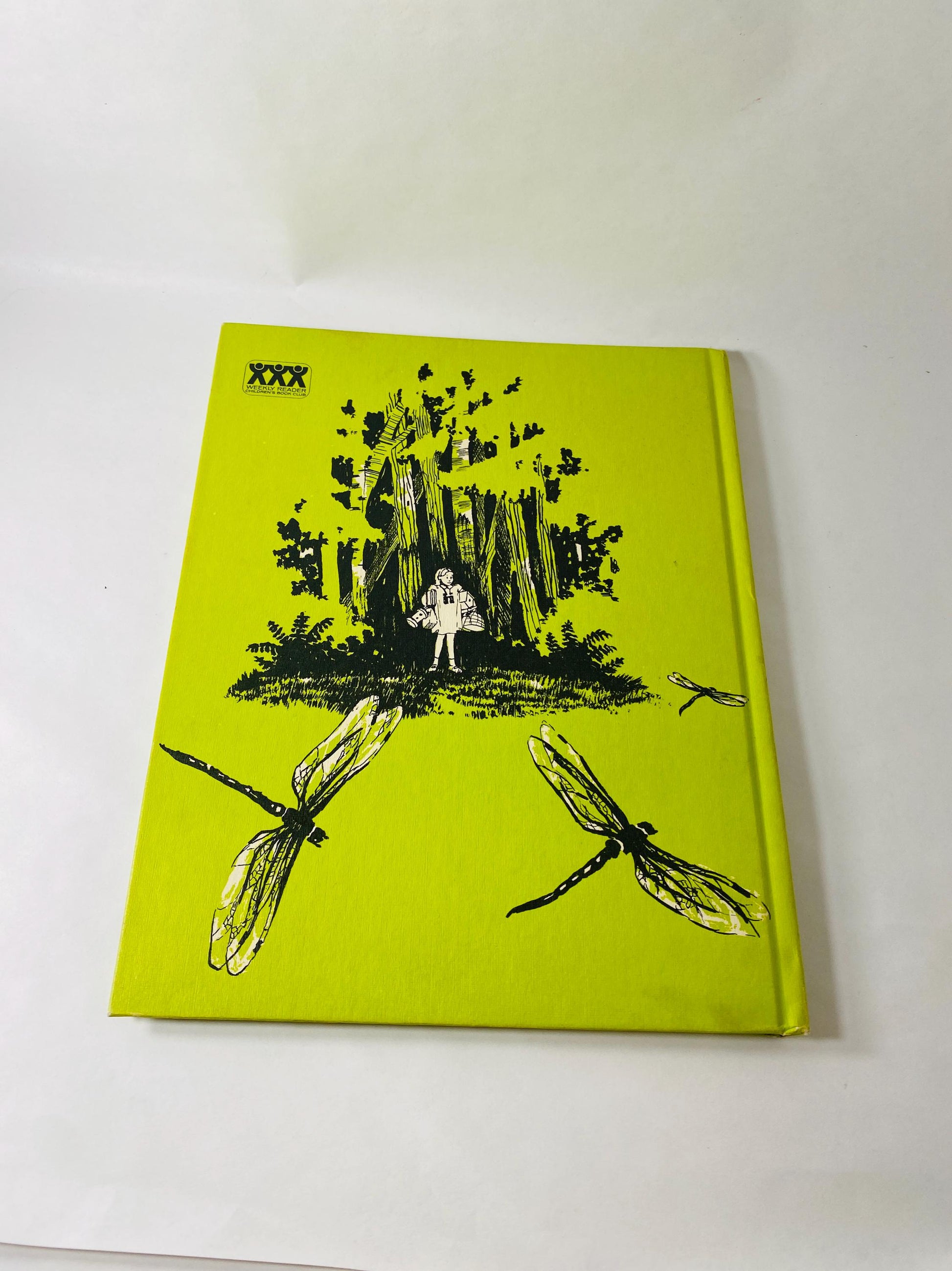Andrew Henry's Meadow Vintage children's book by Doris Burn circa 1965 about a middle child inventor who runs away to build his own home