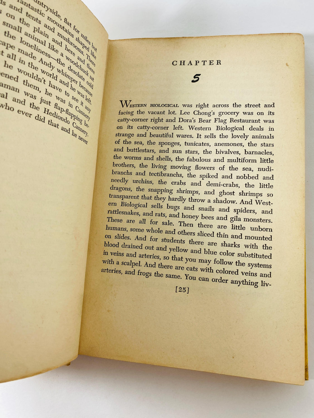 1945 John Steinbeck Cannery Row EARLY PRINTING vintage book about marginalized residents in the canning district during the Great Depression