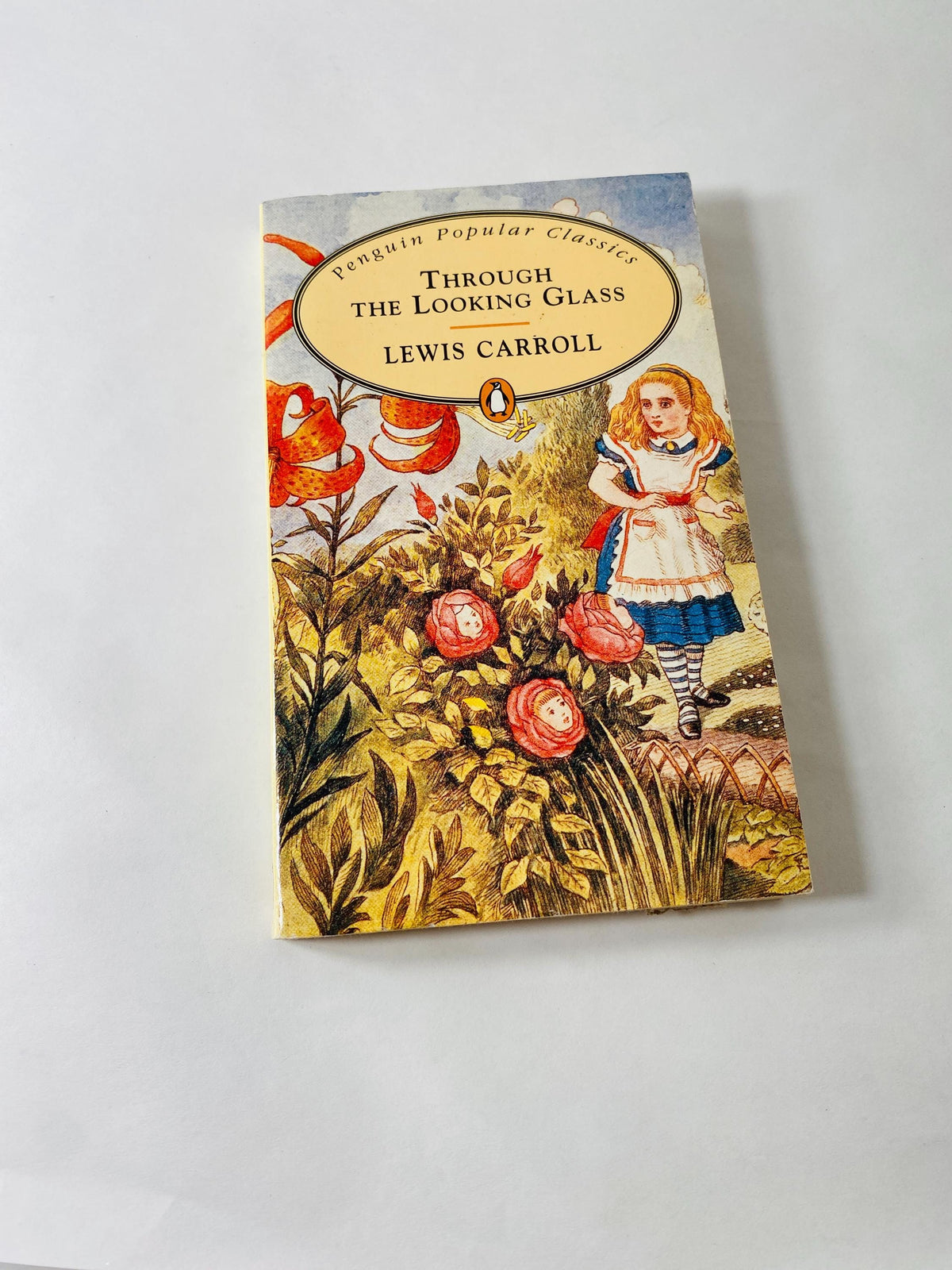 Alice in Wonderland Through the Looking Glass by Lewis Carroll vintage book circa 1976 paperback for little children.