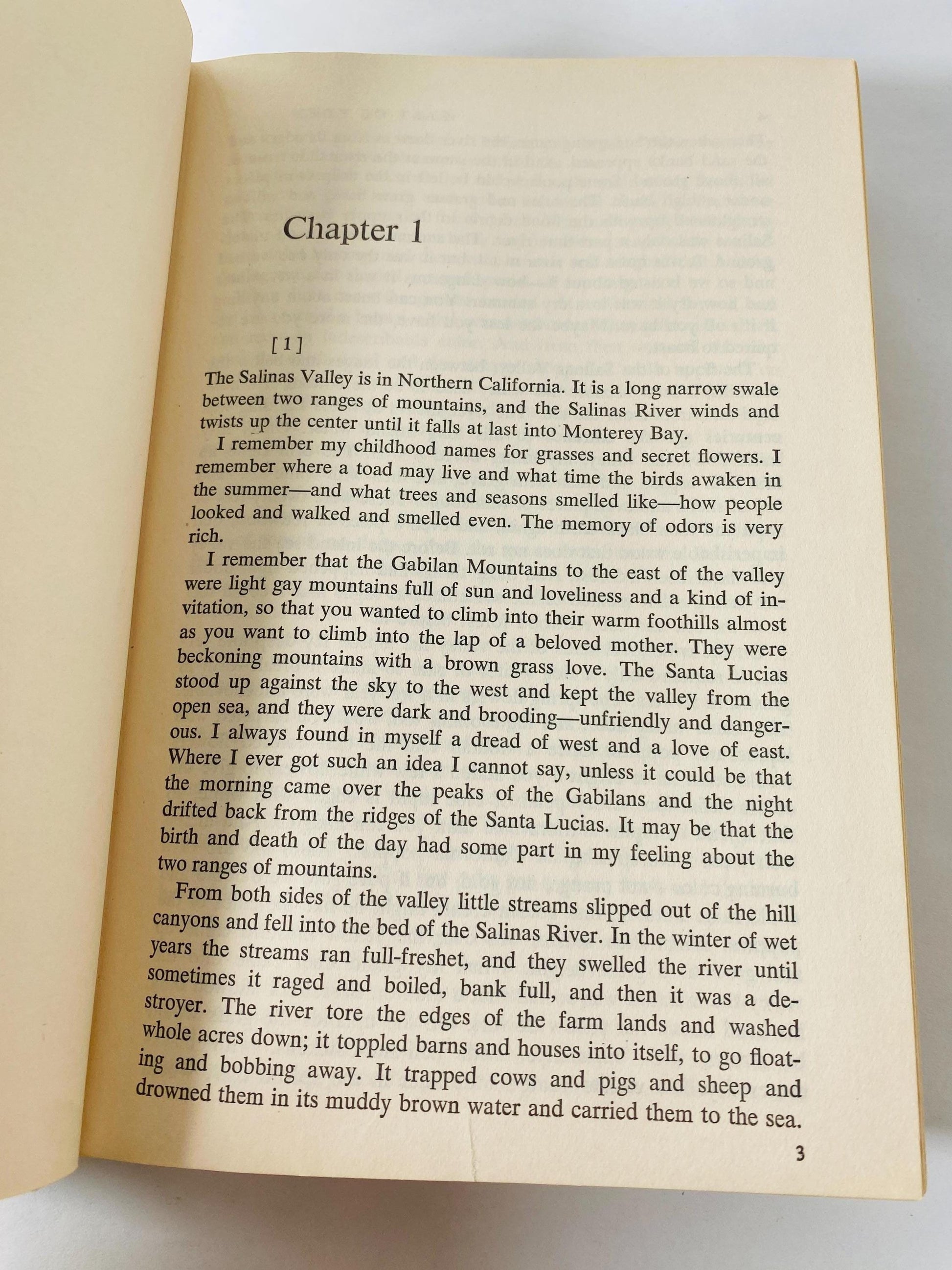 East of Eden book by John Steinbeck circa 1952 Vintage book EARLY PRINTING winner of the Nobel Prize. Green home decor