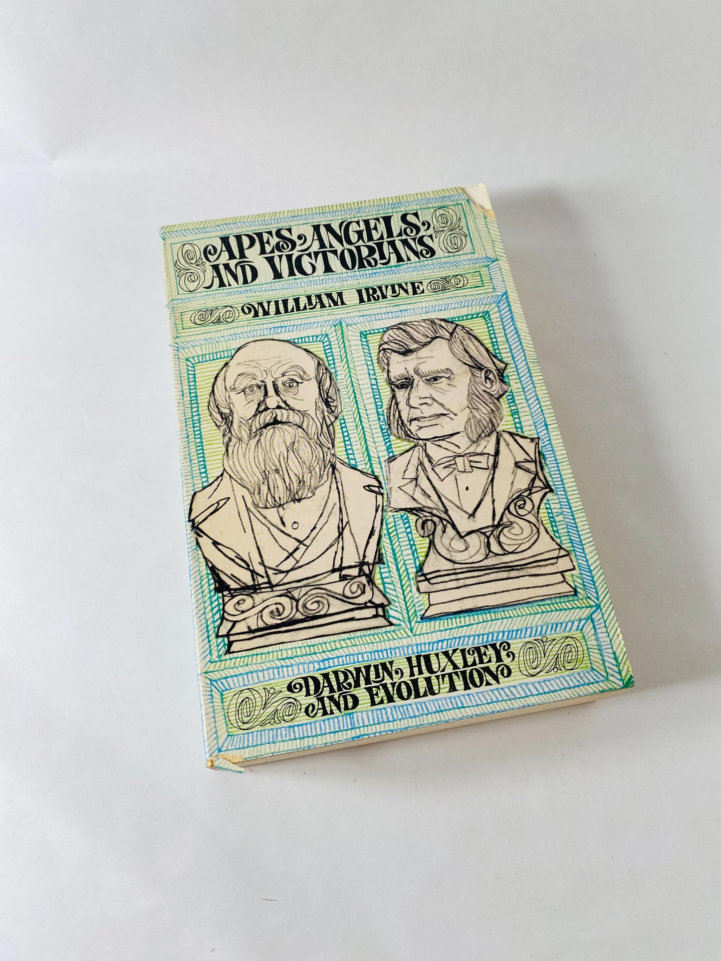 Apes, Angels, & Victorians vintage paperback book about Darwin, Huxley, and Evolution by William Irvine circa 1963