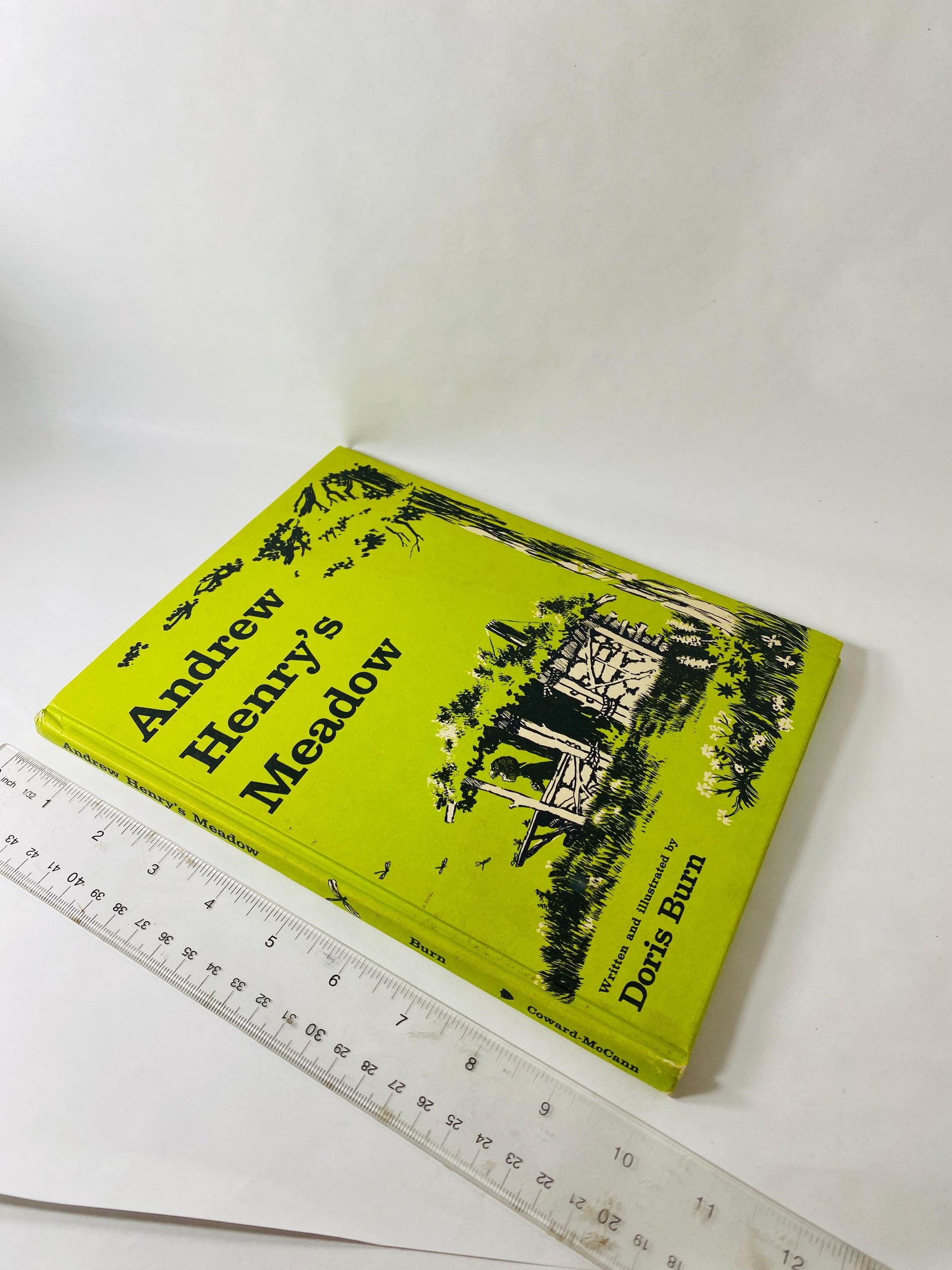 Andrew Henry's Meadow Vintage children's book by Doris Burn circa 1965 about a middle child inventor who runs away to build his own home