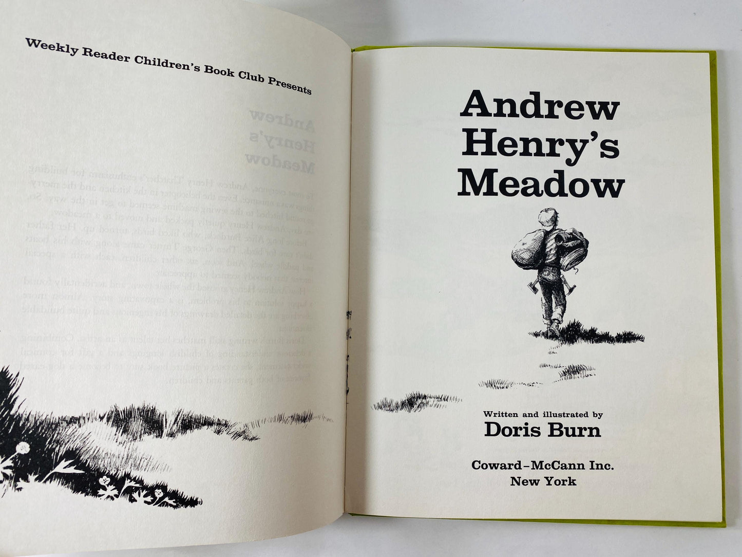 Andrew Henry's Meadow Vintage children's book by Doris Burn circa 1965 about a middle child inventor who runs away to build his own home