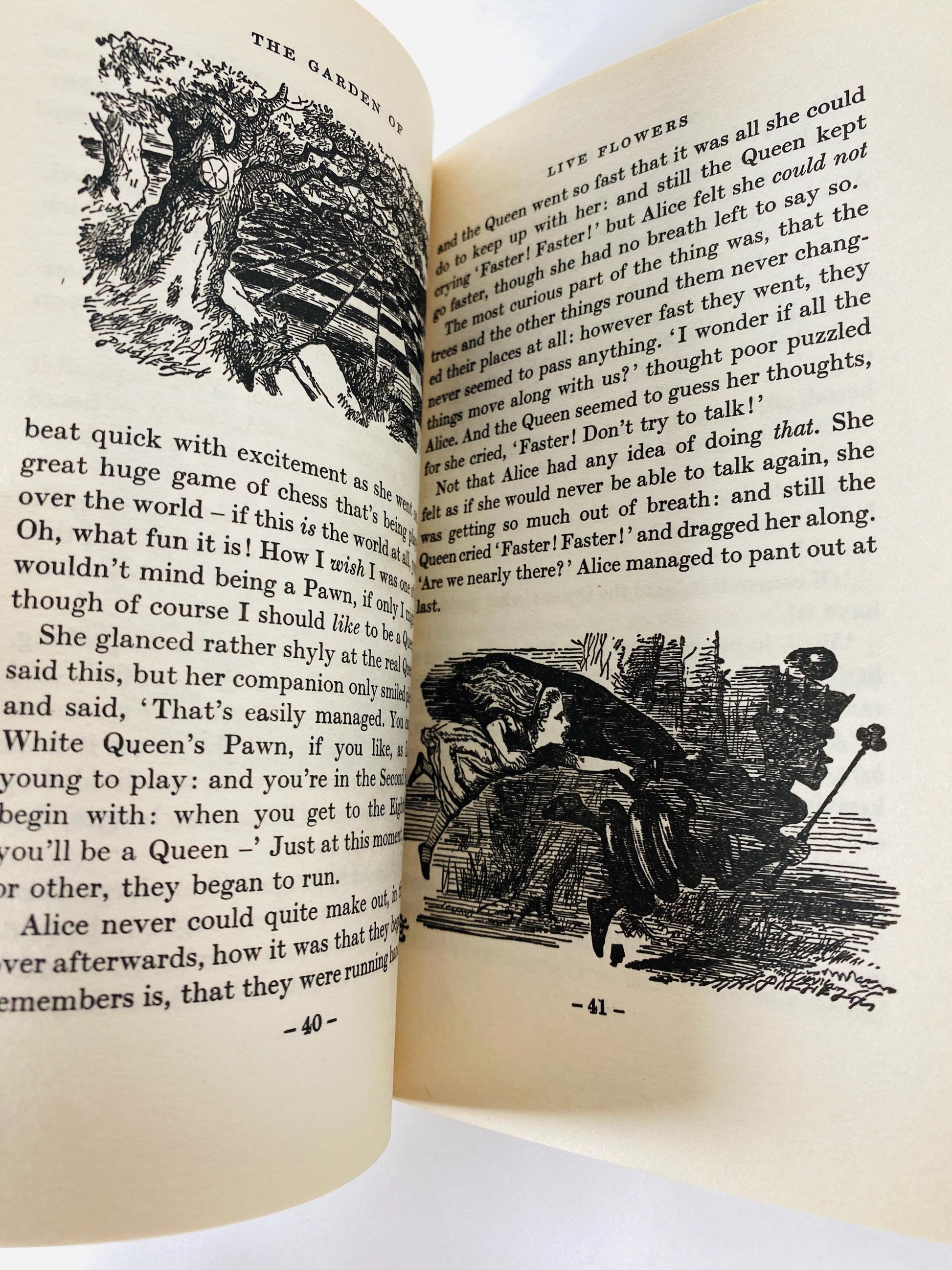 Alice in Wonderland Through the Looking Glass by Lewis Carroll vintage book circa 1976 paperback for little children.