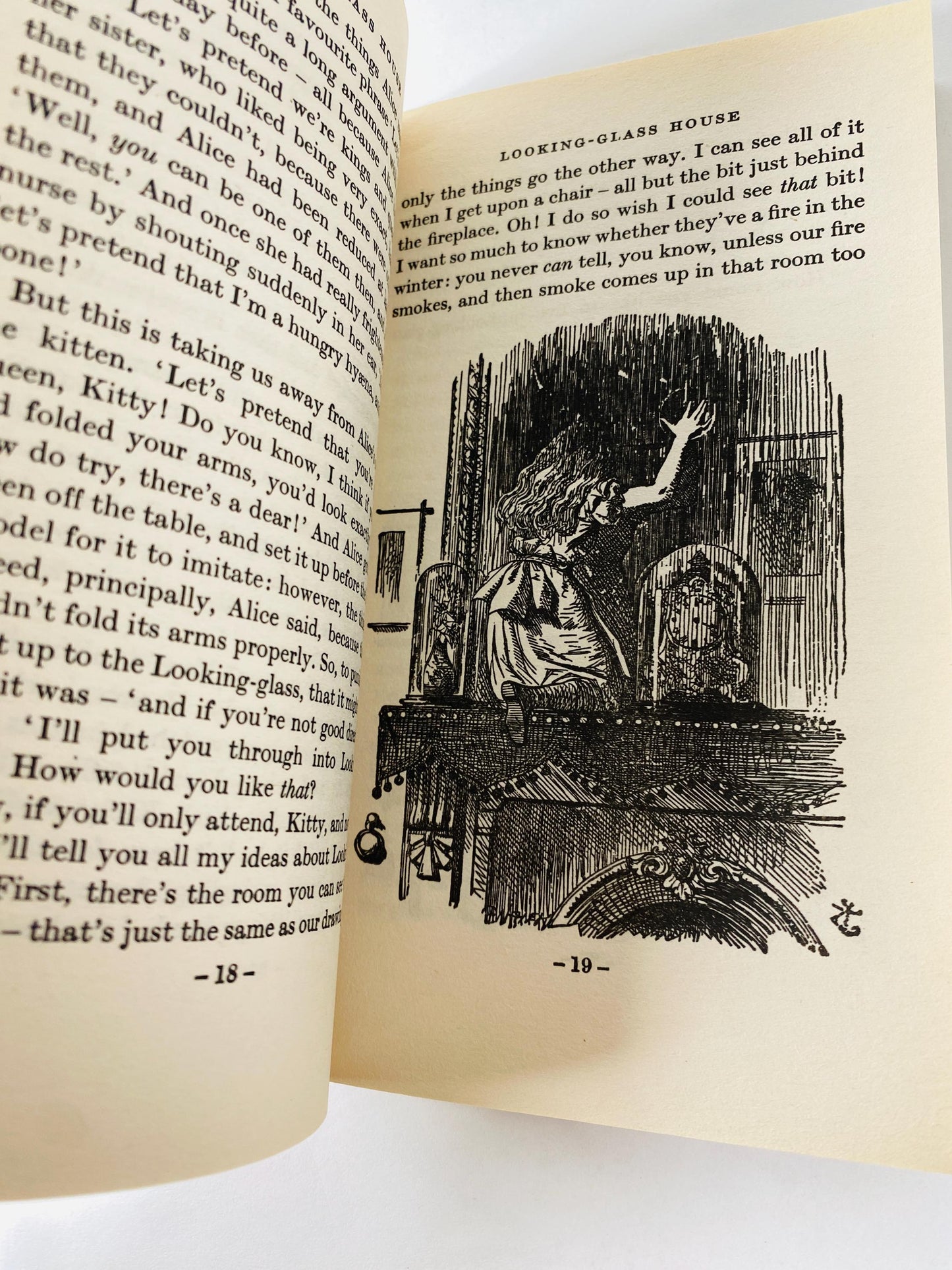 Alice in Wonderland Through the Looking Glass by Lewis Carroll vintage book circa 1976 paperback for little children.