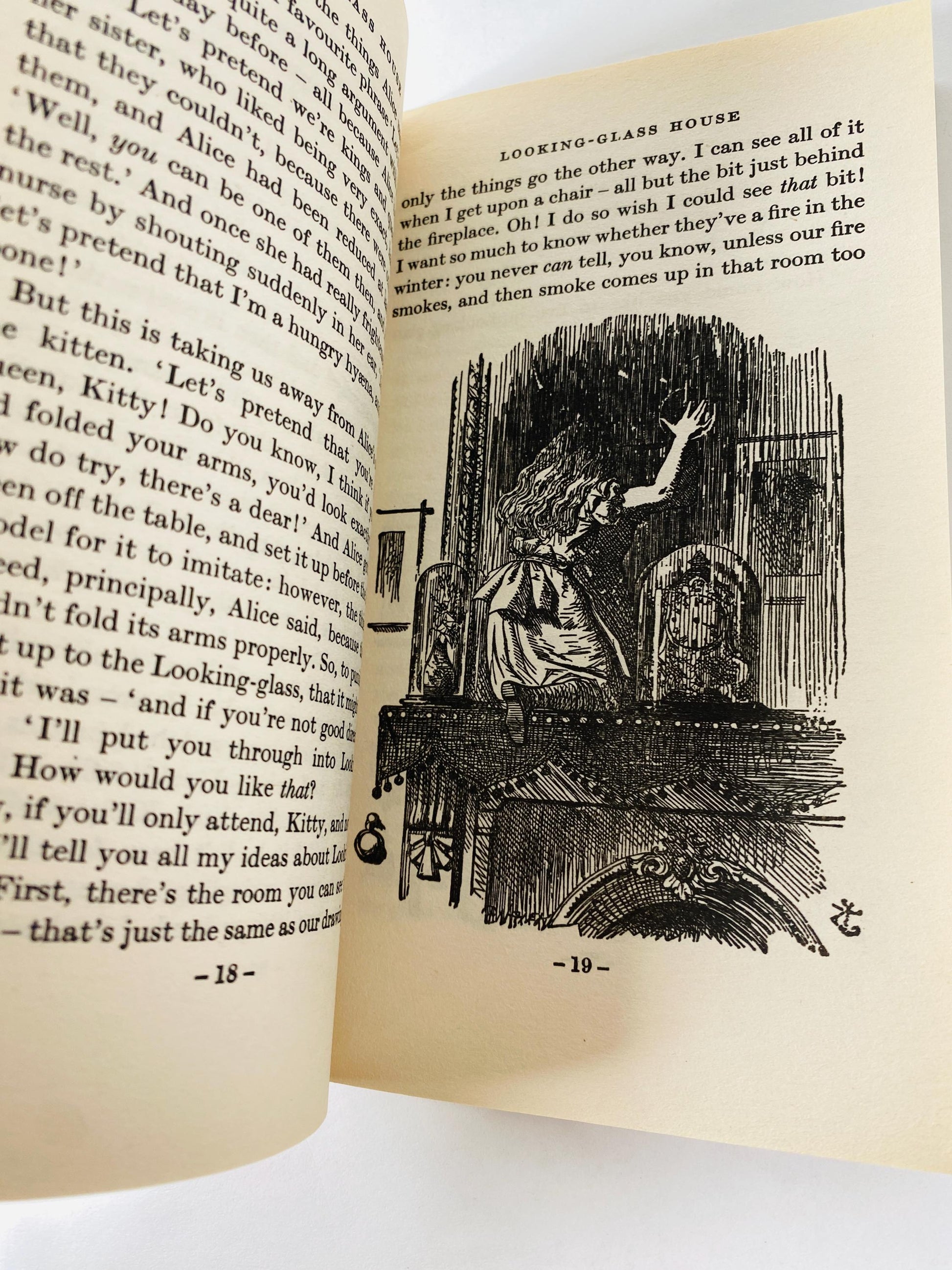 Alice in Wonderland Through the Looking Glass by Lewis Carroll vintage book circa 1976 paperback for little children.