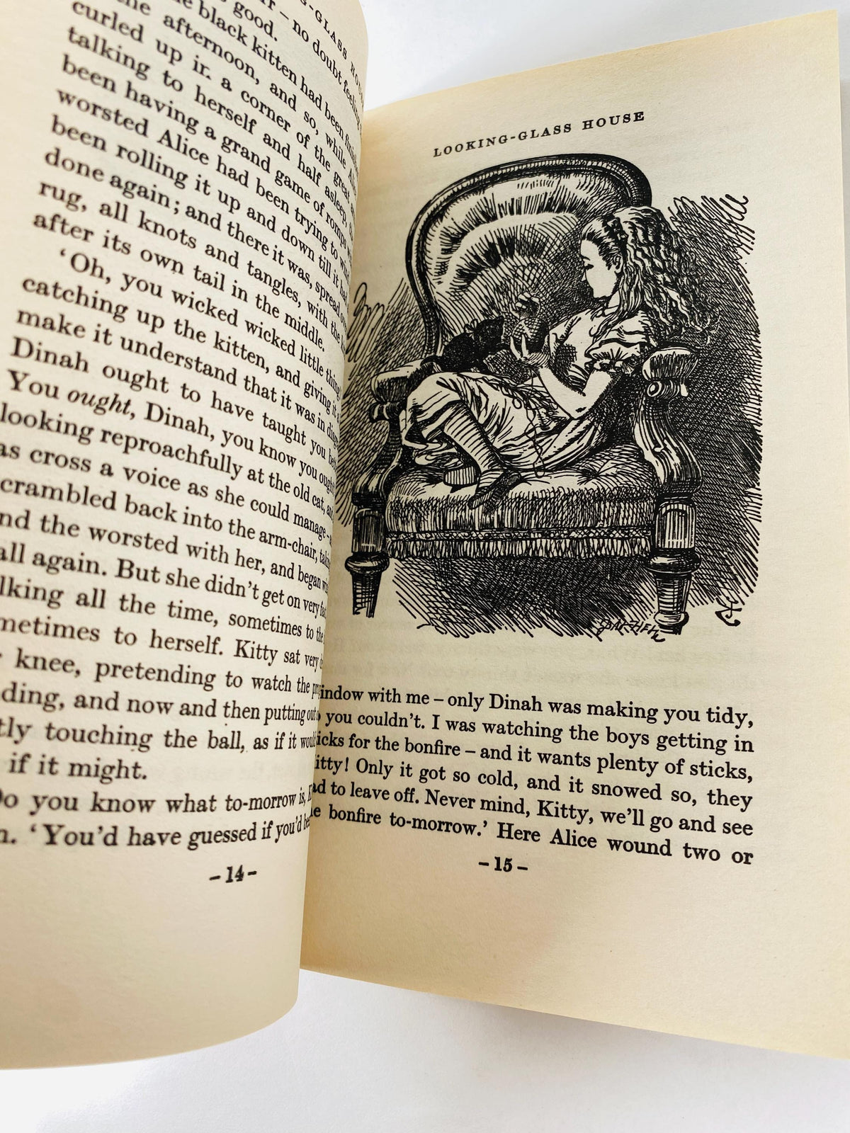 Alice in Wonderland Through the Looking Glass by Lewis Carroll vintage book circa 1976 paperback for little children.