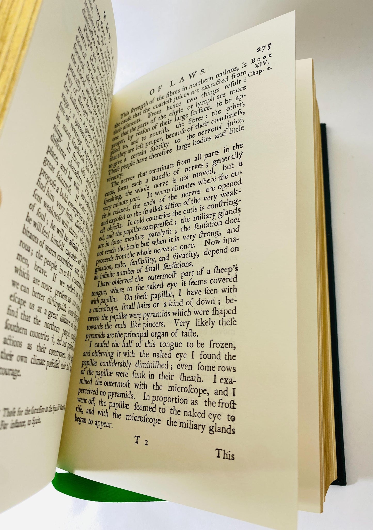 Spirit of Laws by Baron de Montesquieu Vintage leather book law school graduation gift office decor criminal defense attorney litigator