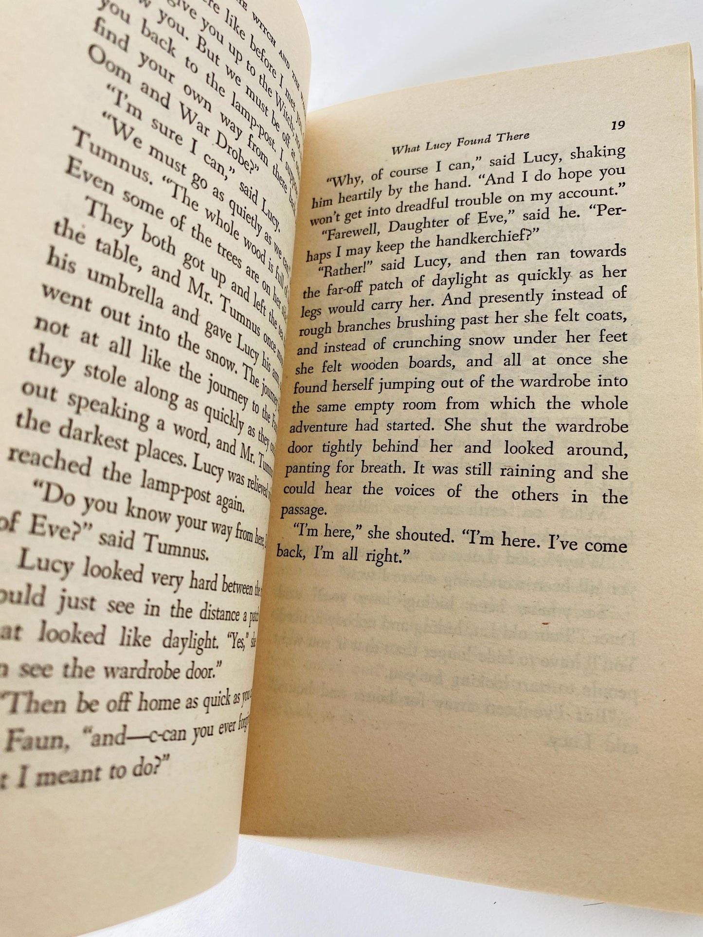 Chronicles of Narnia by CS Lewis Lion, the Witch and the Wardrobe vintage paperback book circa 1970 Collier science fiction Fantasy