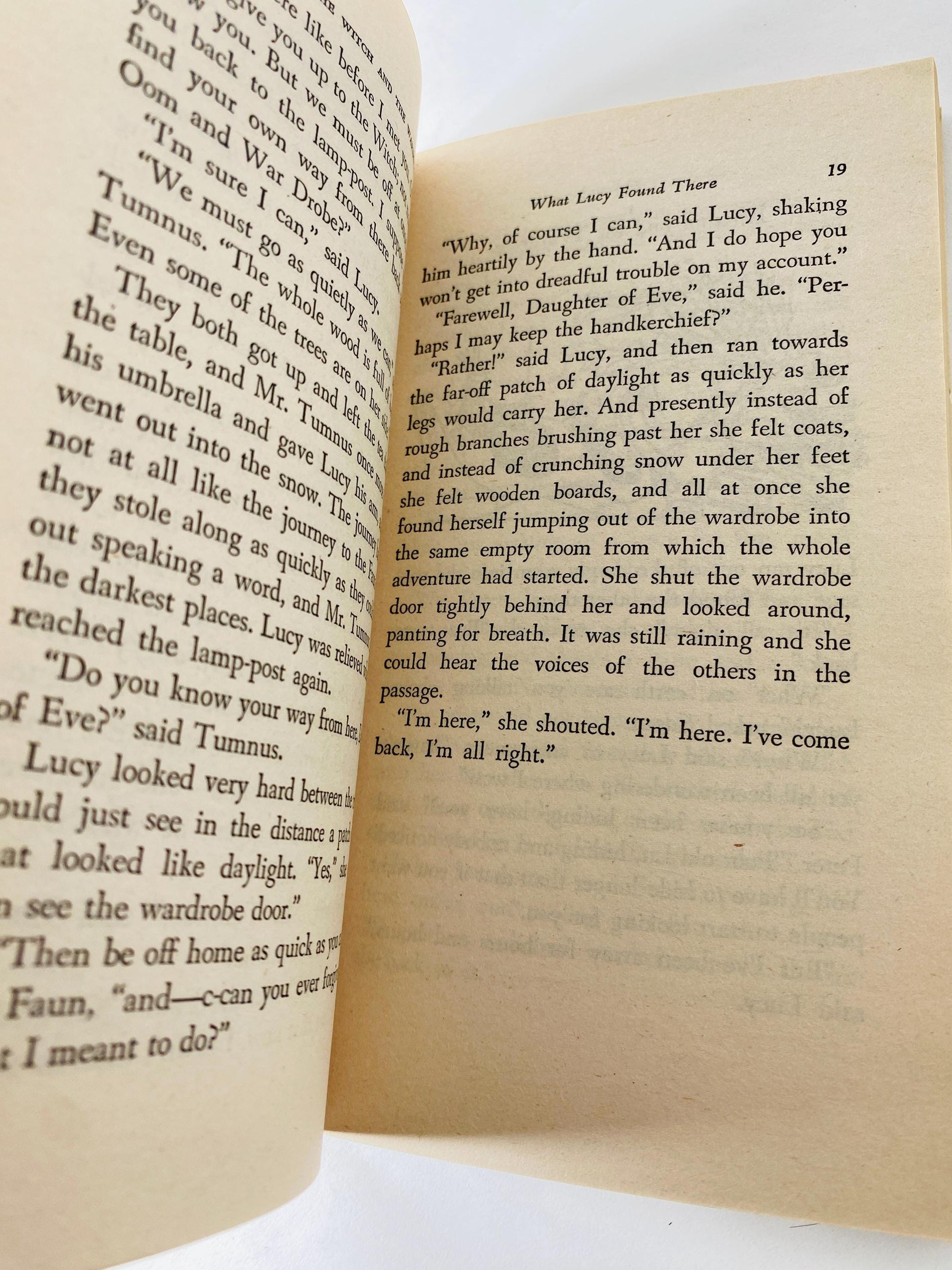 Chronicles of Narnia by CS Lewis Lion, the Witch and the Wardrobe vintage paperback book circa 1970 Collier science fiction Fantasy